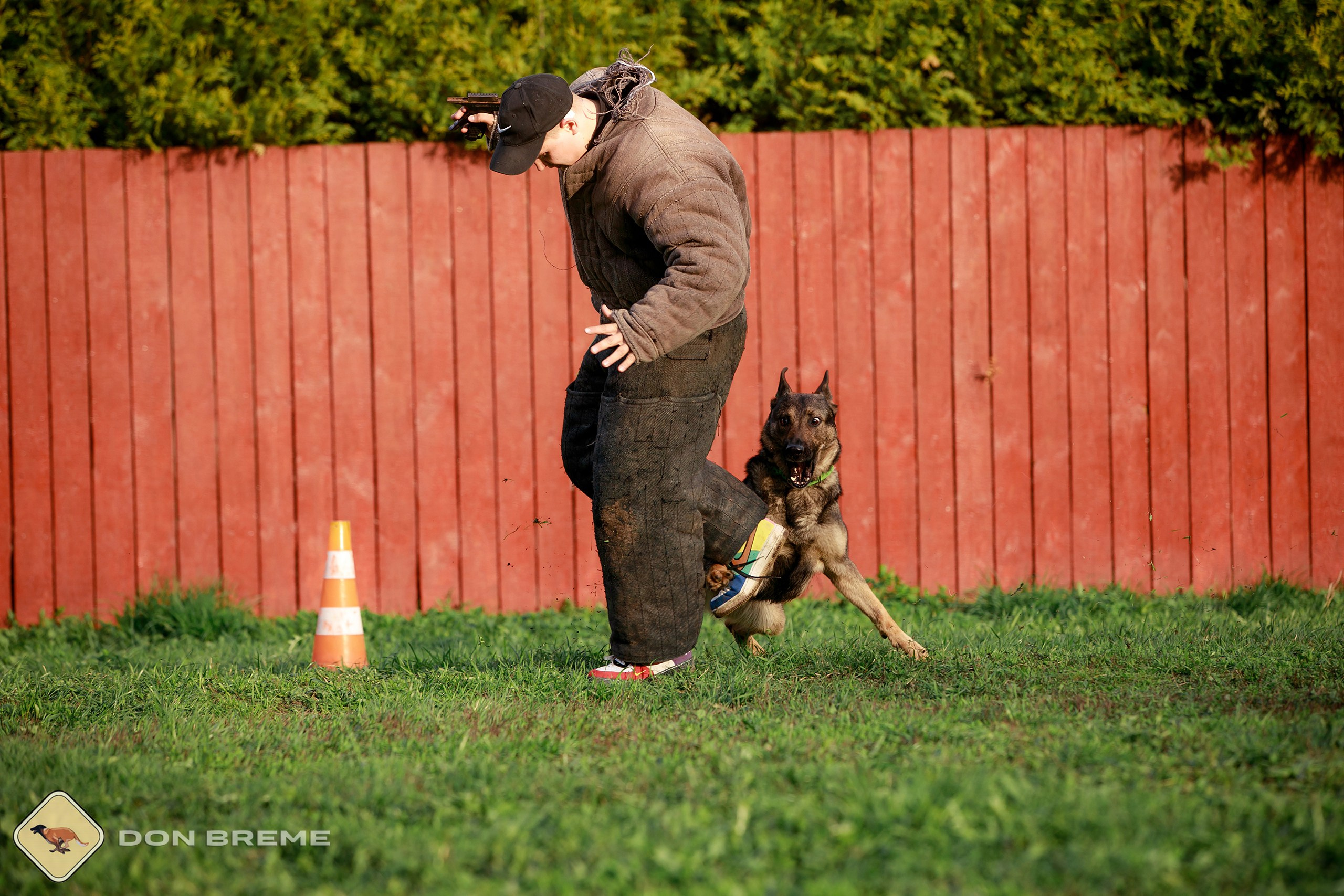 Семинар для фигурантов, день 2. Фотограф-анималист Mary Mart — Москва, Питер