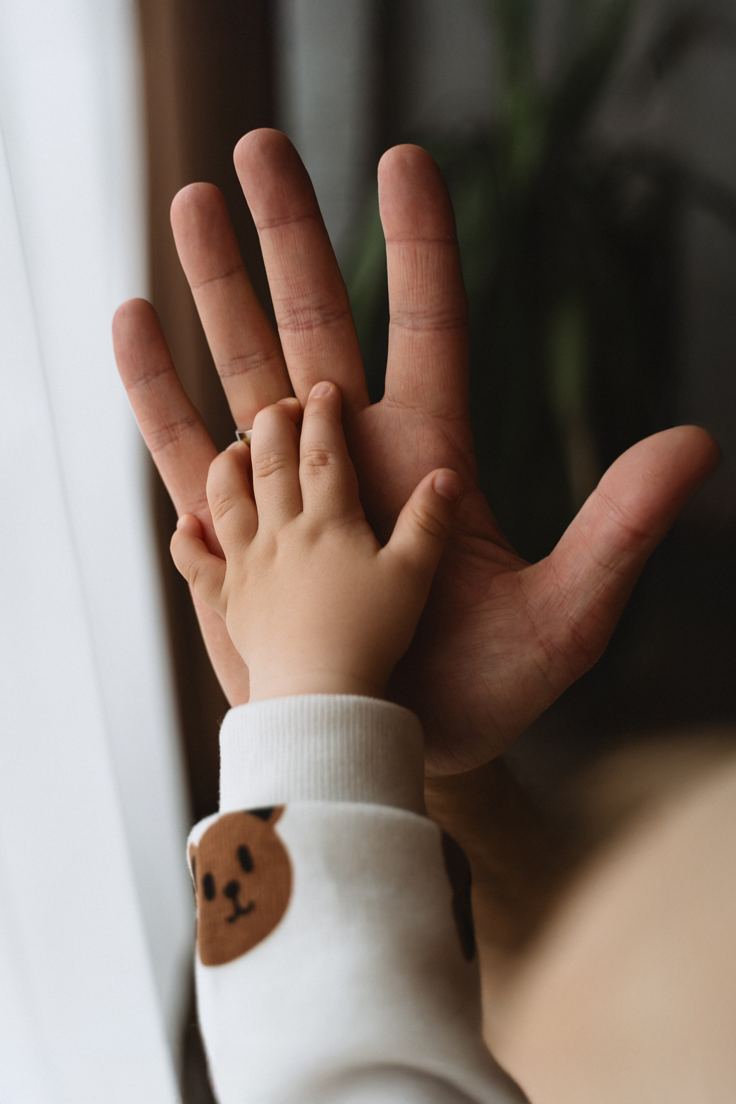 Валерия, Антон и Ромочка. Фотограф Москва. Екатерина Дударевич