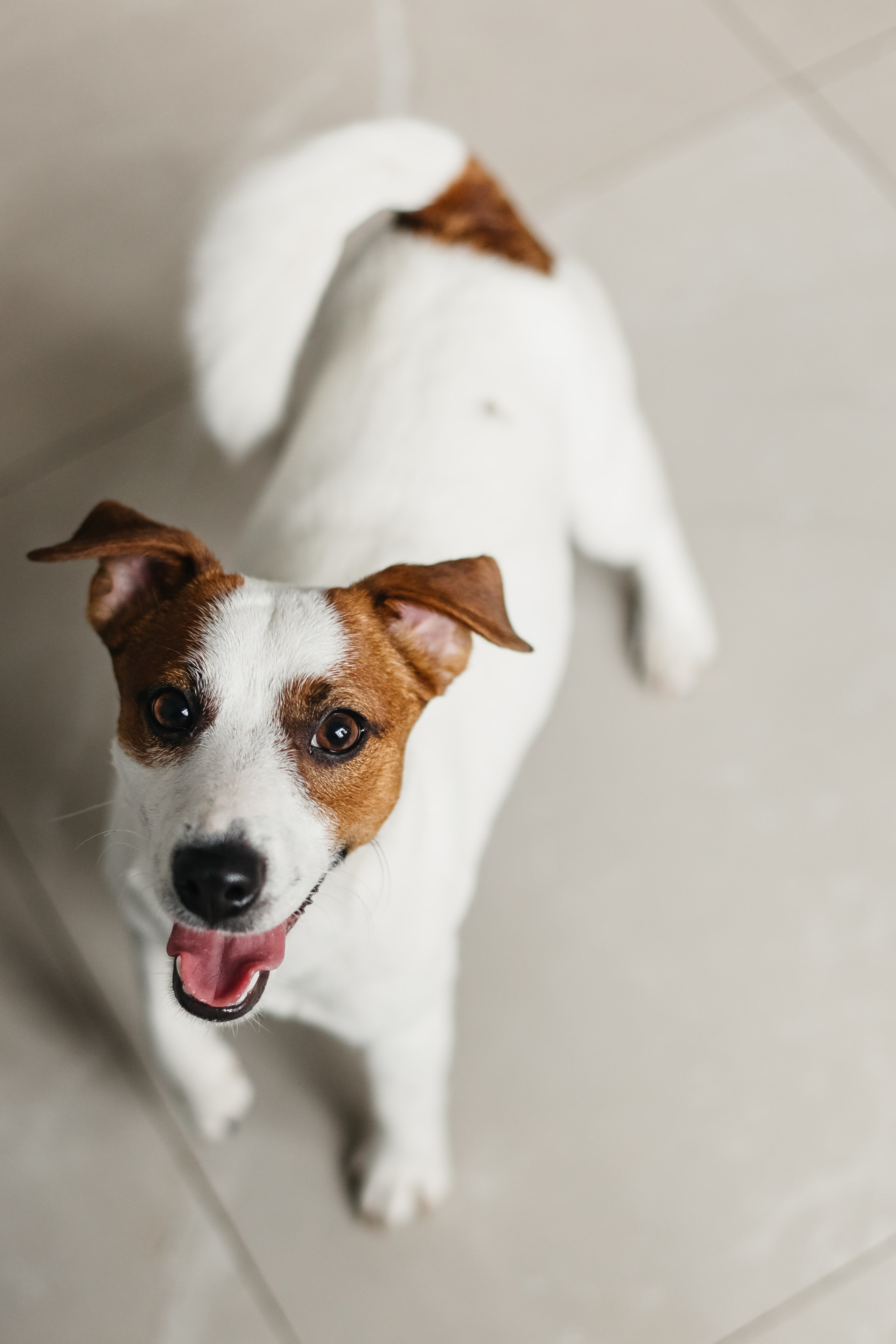 2024.03.24 Танюша, Руслан и Боба. Ирина Бешляга. Фотограф в Москве и по всей России