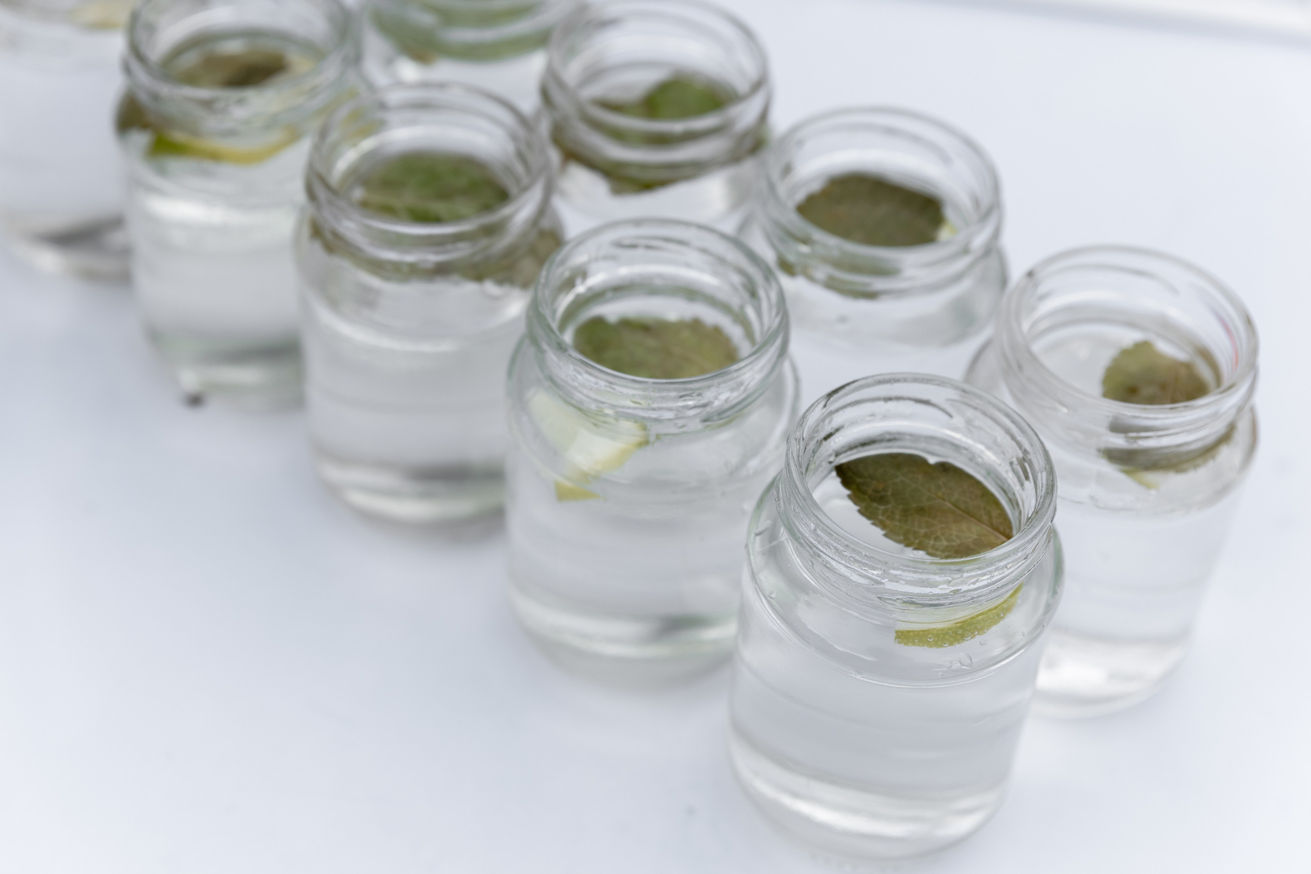 ILDAR|ILUZA. Главная