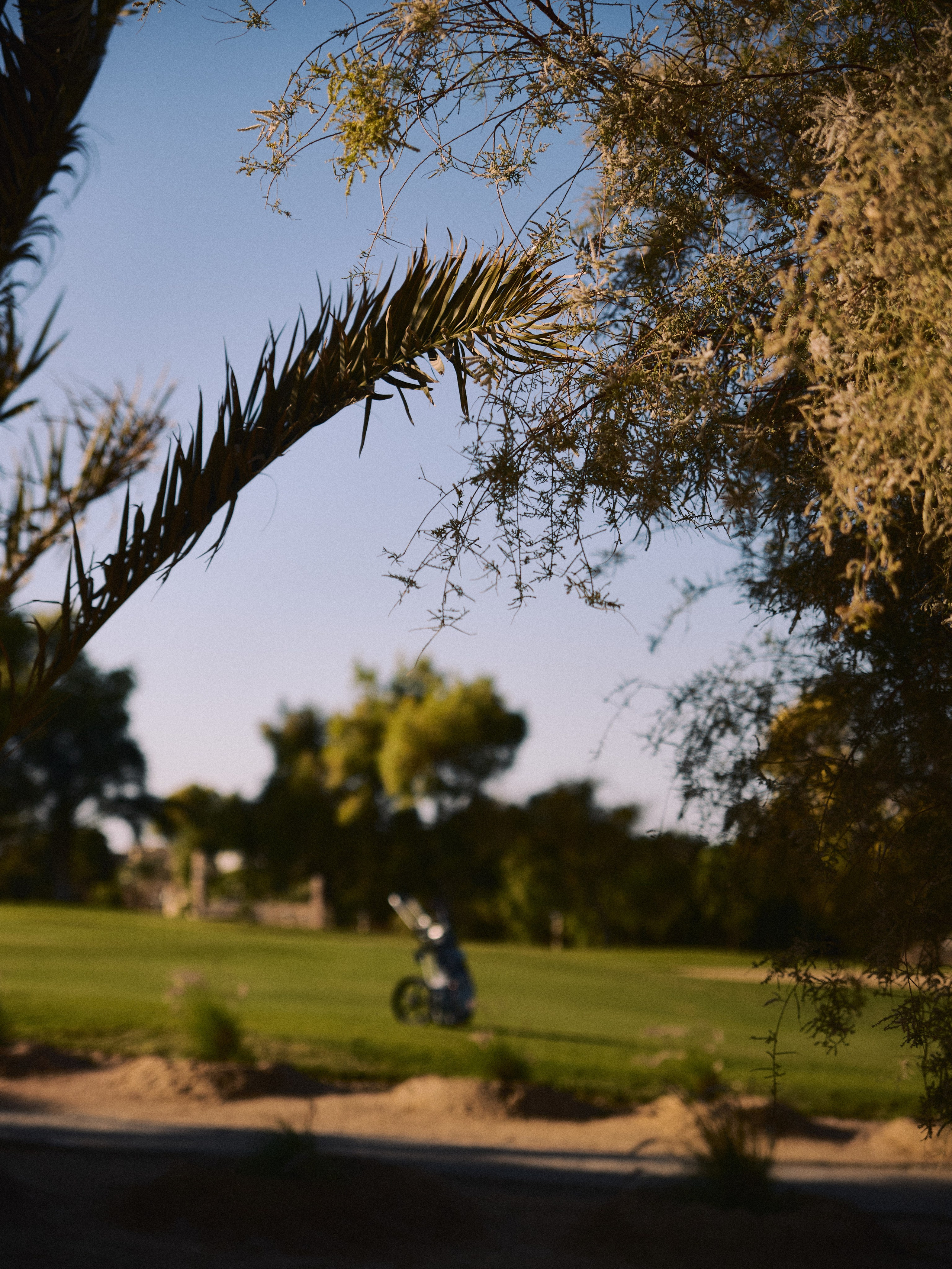 Диптих. Jorgis — фотограф в Хургаде / обучение фотографии