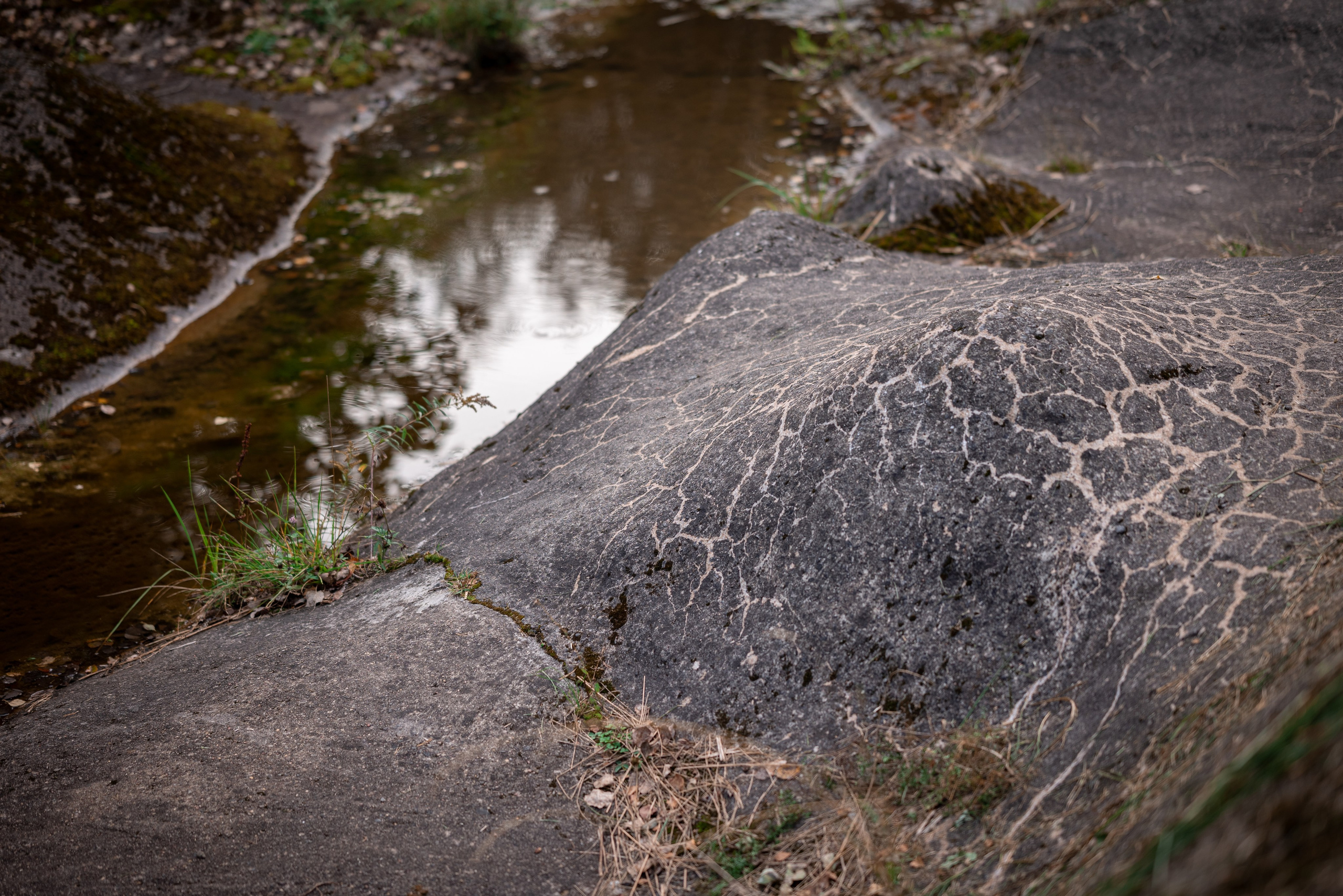 Места. Фотограф в Минске Дарья Кончакова