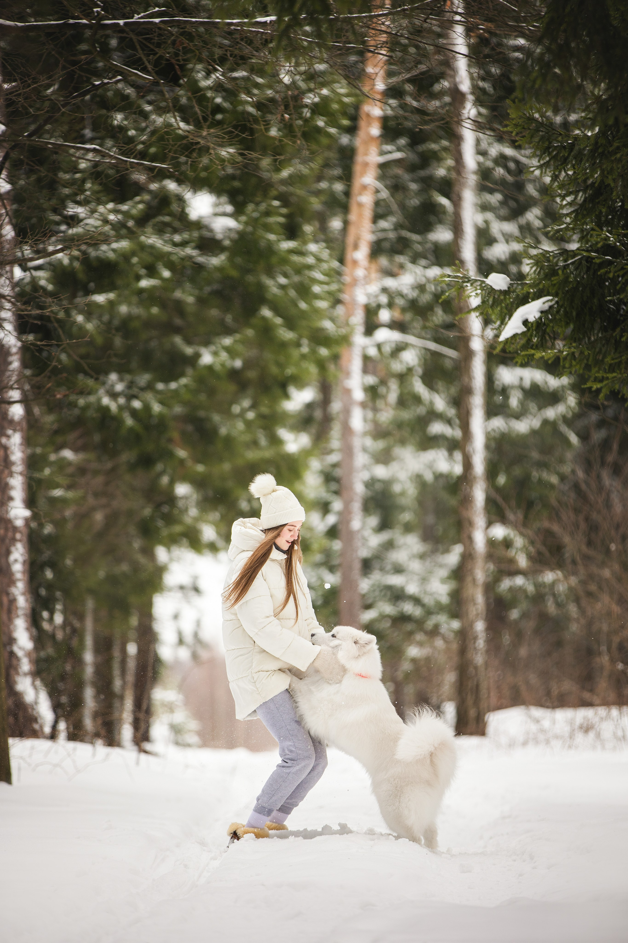 Валя, Варя и Лада. Фотограф анималист в Москве Майорова Евгения