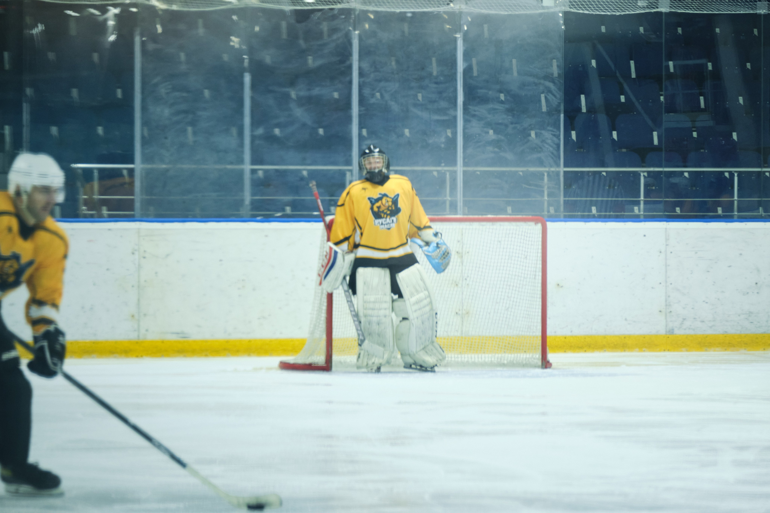 РУСАГРО. Организация фото/видео съемки, Москва