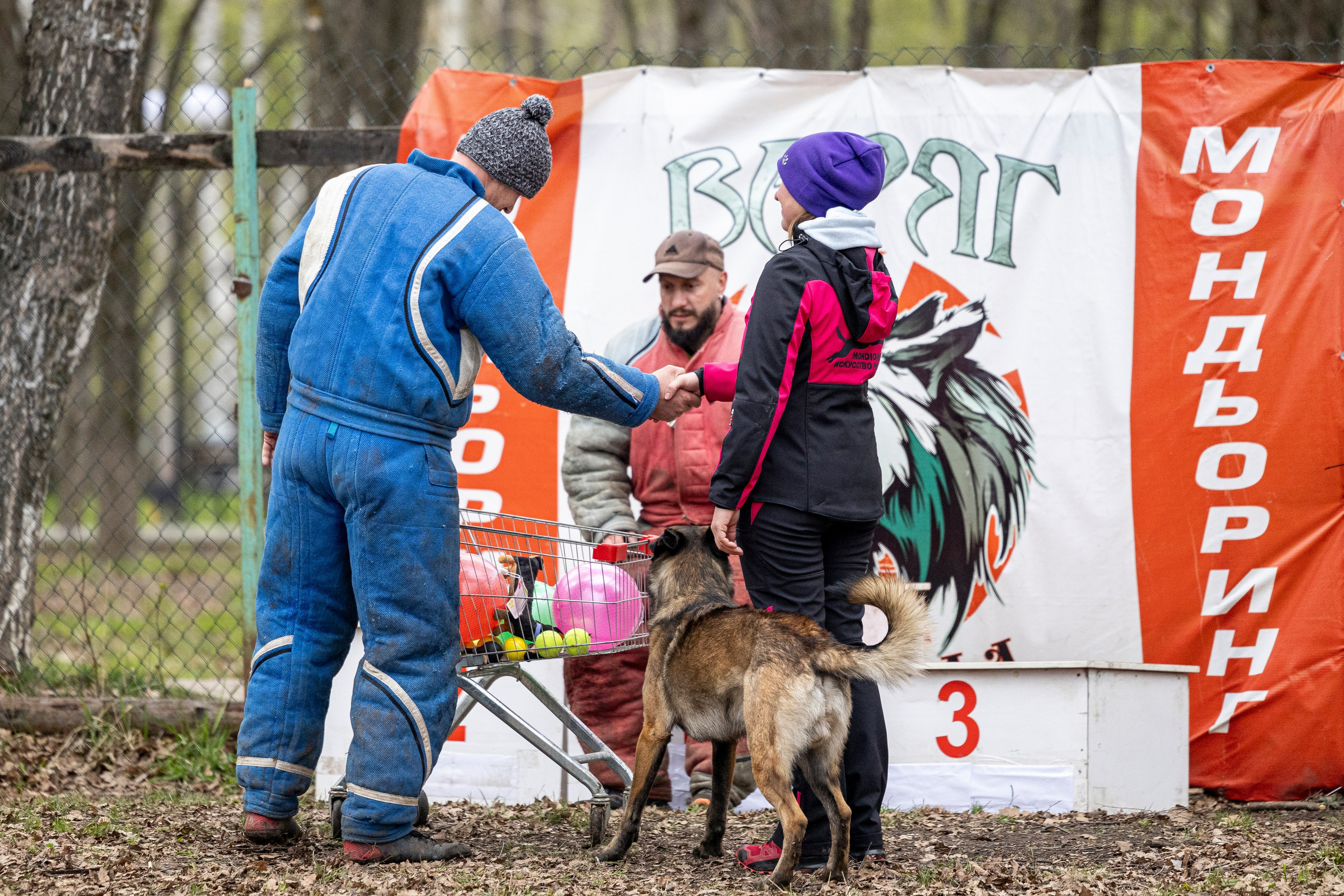 Квалификационные состязания по мондьорингу г. Вологда 11.05.24. Фотограф-анималист Анна Маринич