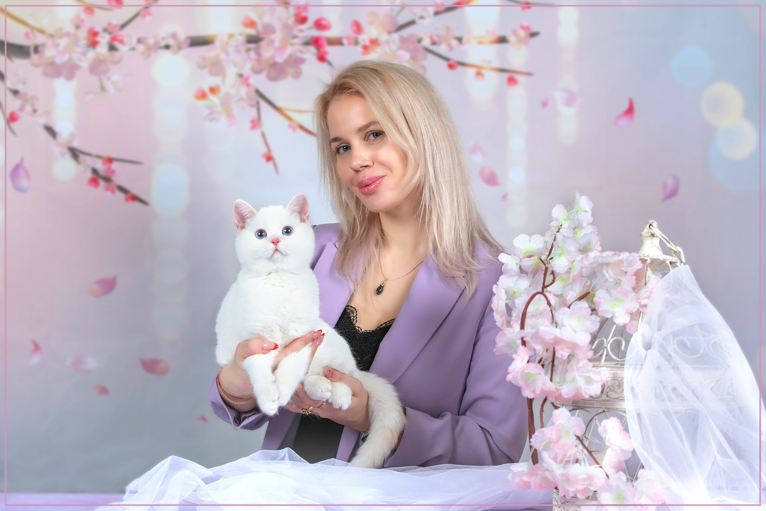 Стендовая съёмка на выставках кошек. Фотограф-анималист в Омске Екатерина Маричева