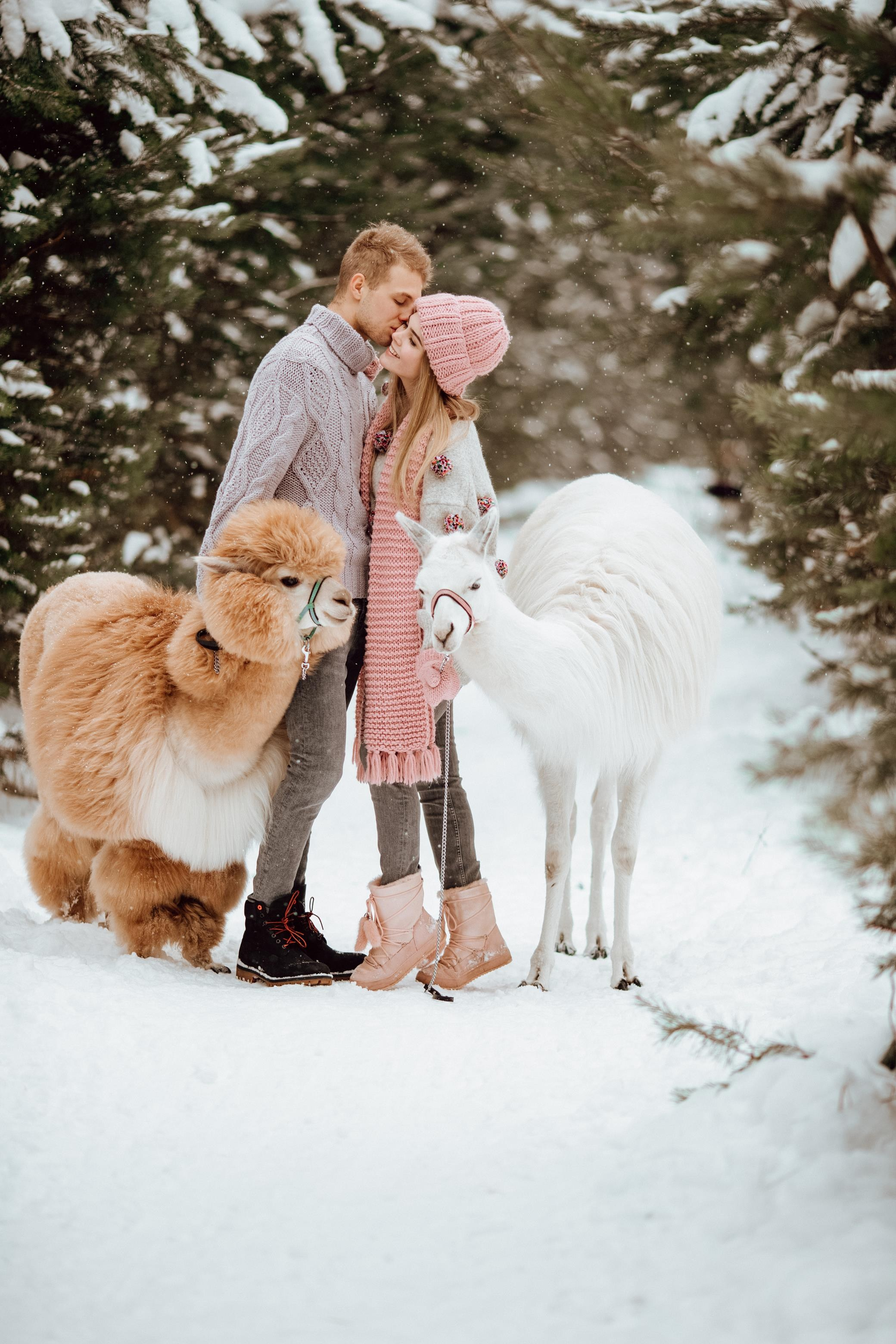 Winter wonderland. Алина Малышева, свадебный и семейный фотограф Москва