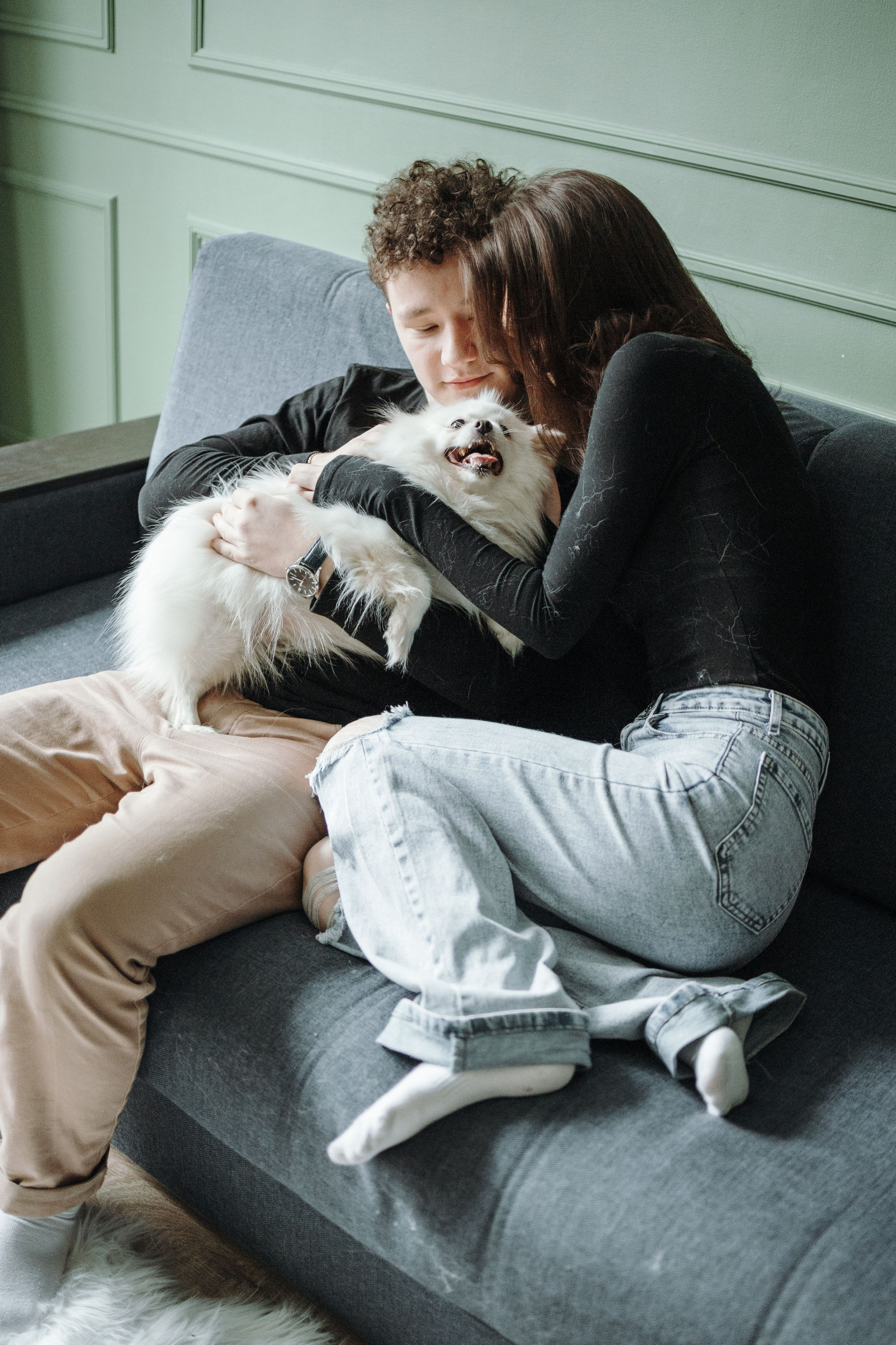 Шпиц Мася и ее семья