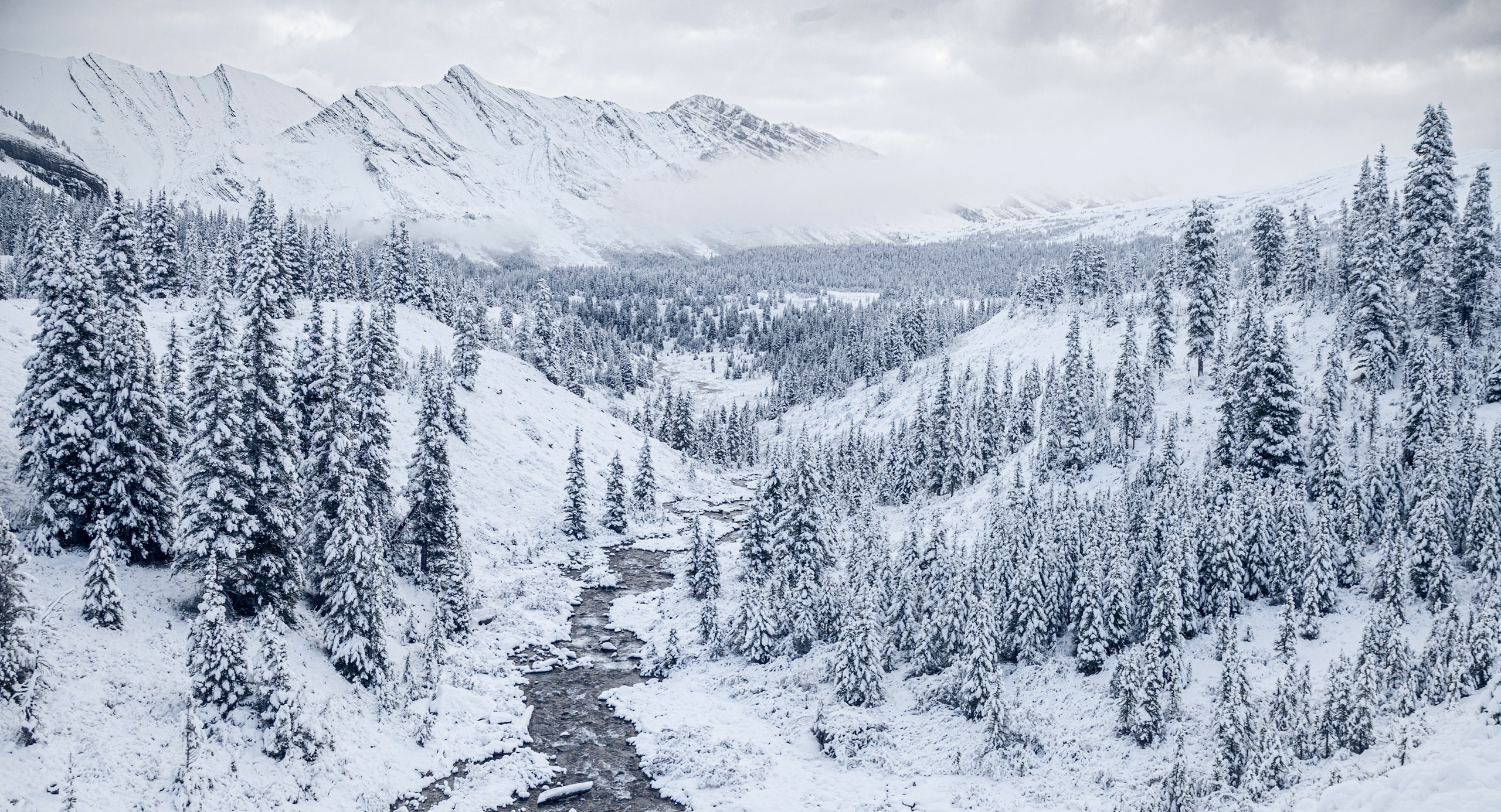 Канада. Фотограф Владимир Медведев