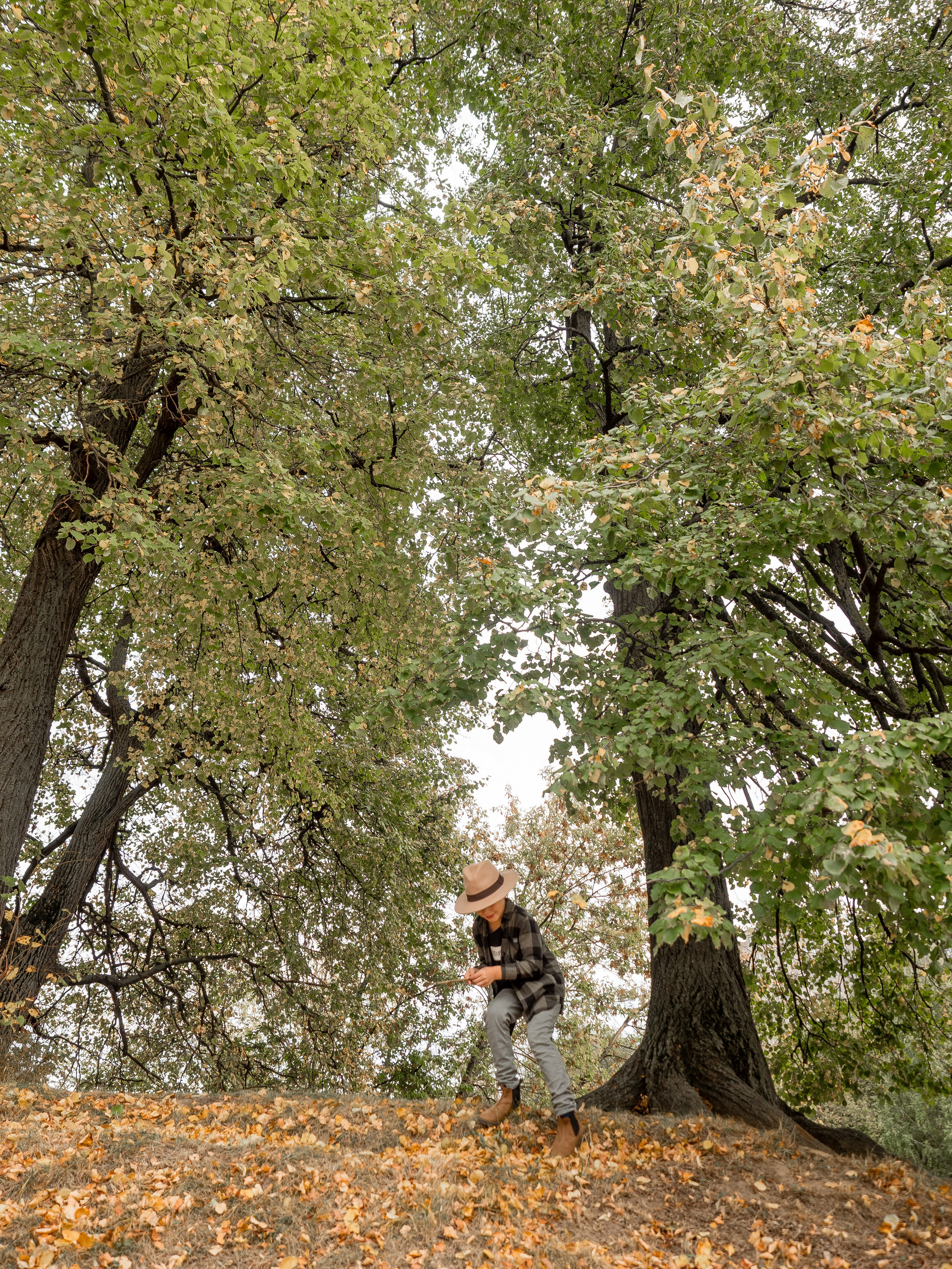 Семейная осенняя (1). Алёна Орлова Портретный фотограф Москва