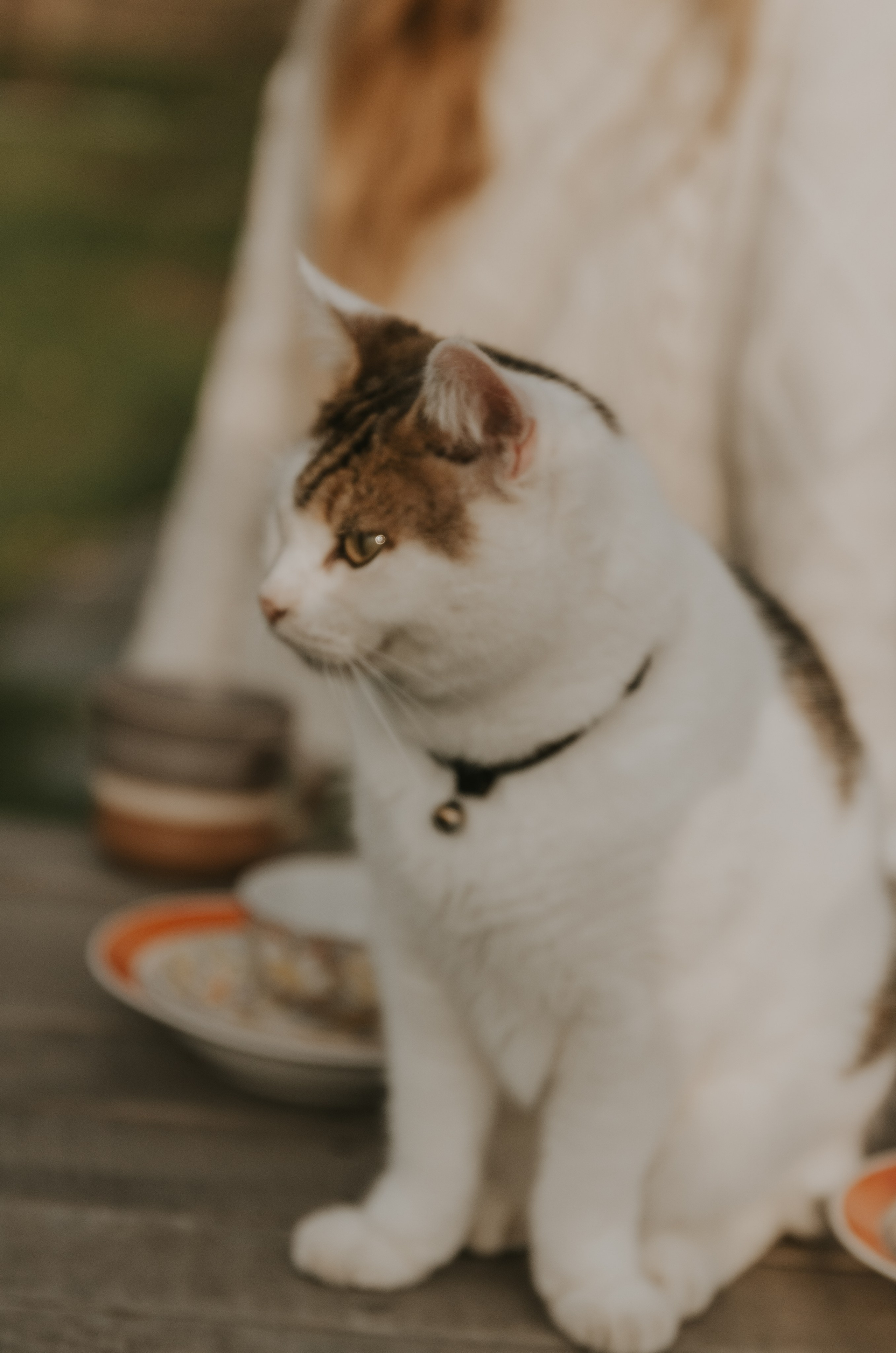 Семейные. Индивидуальные, семейные, студийные съемки в Серпухове и за пределами