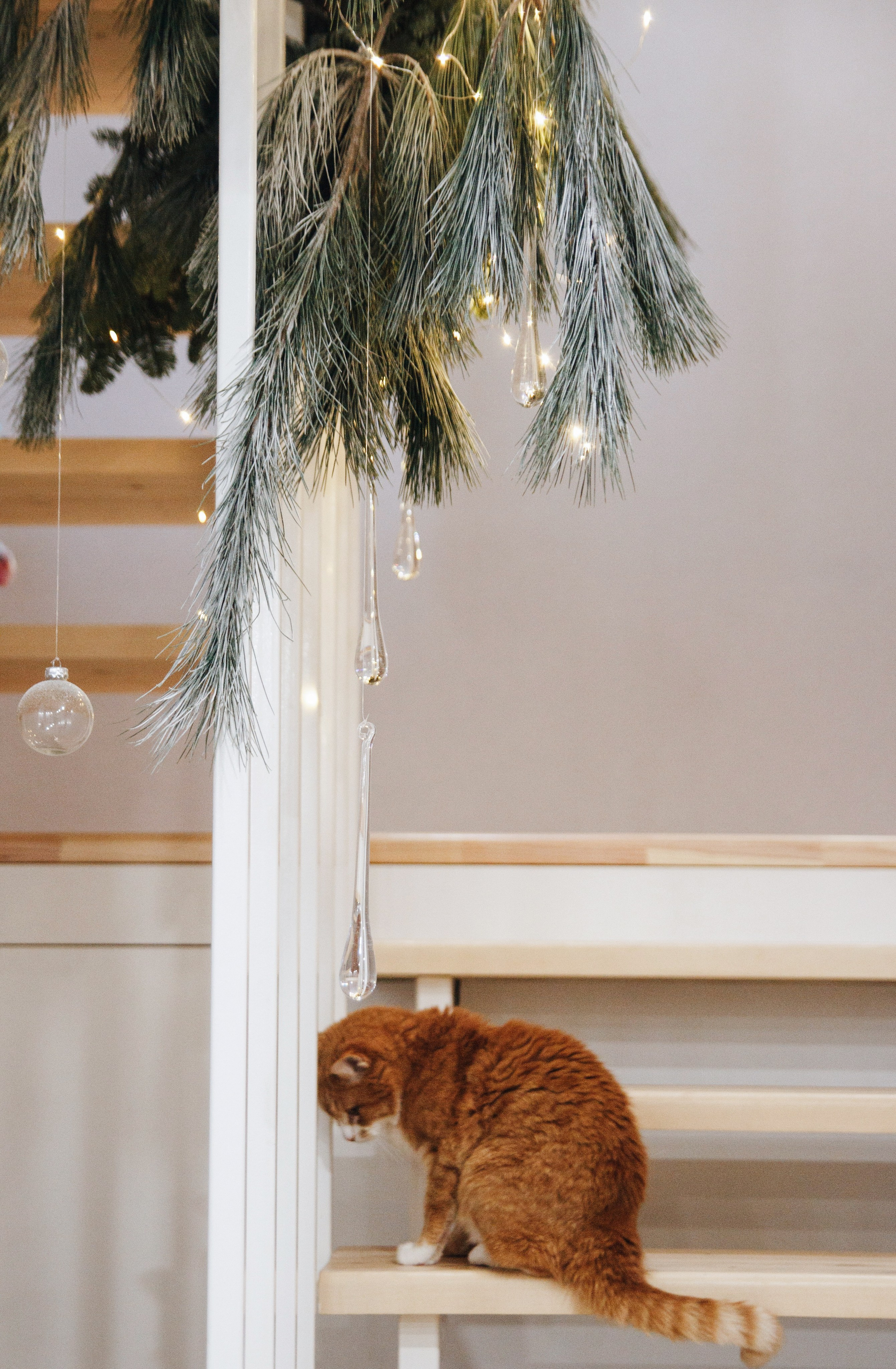 Таунхаус 2023. Ксения Почтарь. Декоратор и флорист, город Владивосток