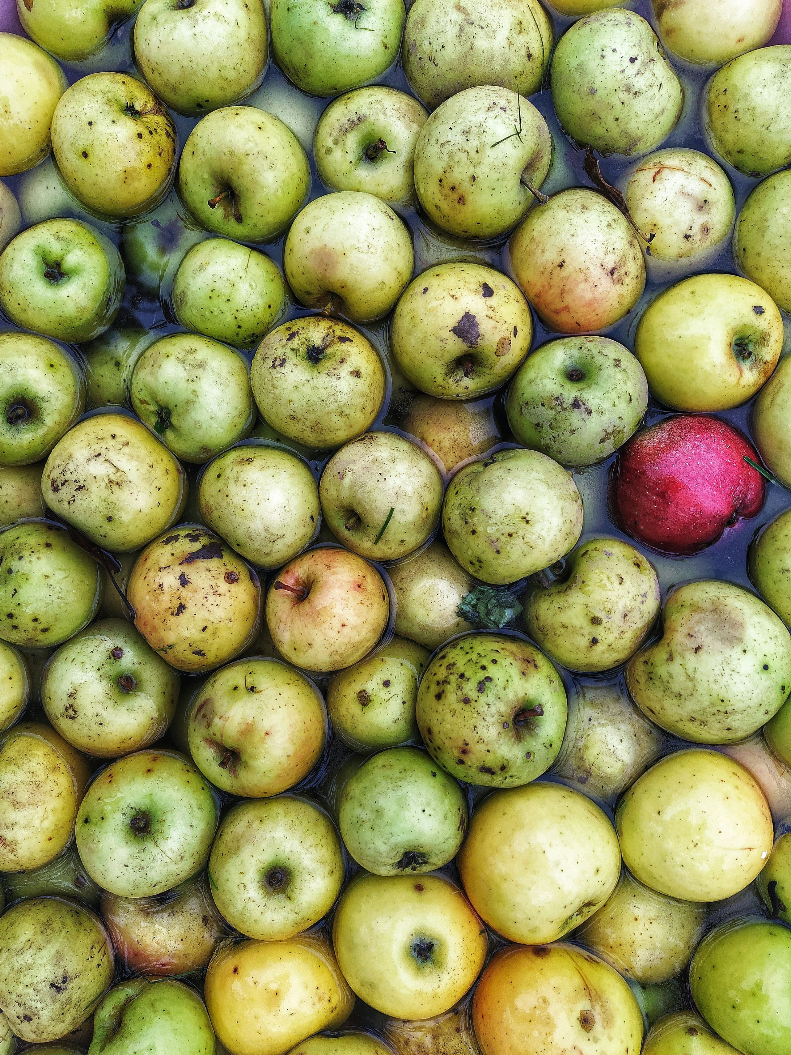 Бесшумная фотография. Tatyana Mazok творческий фотограф в Минске