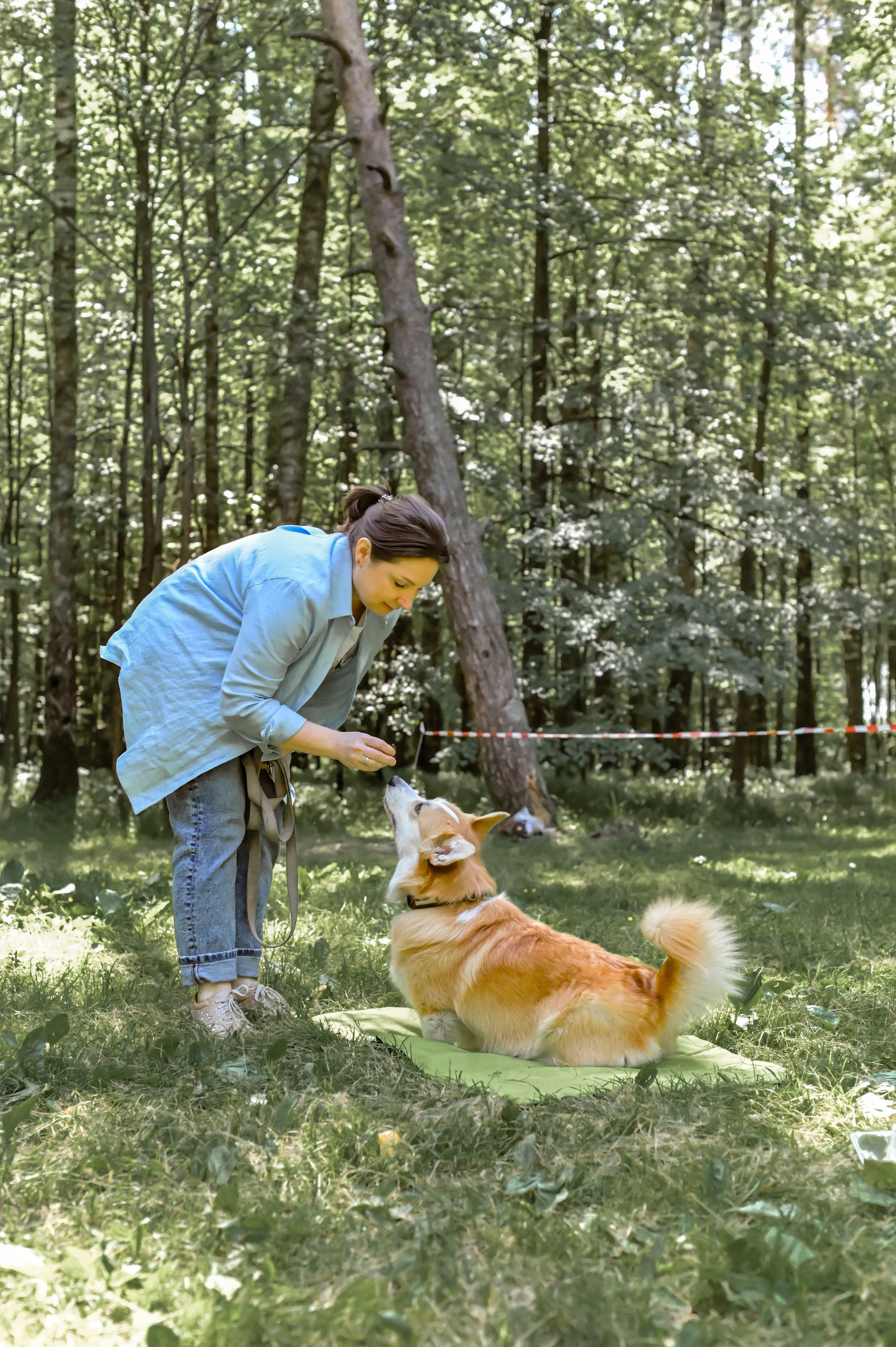 Кинологические соревнования. Семейный и репортажный фотограф в Москве Анастасия Трубкина