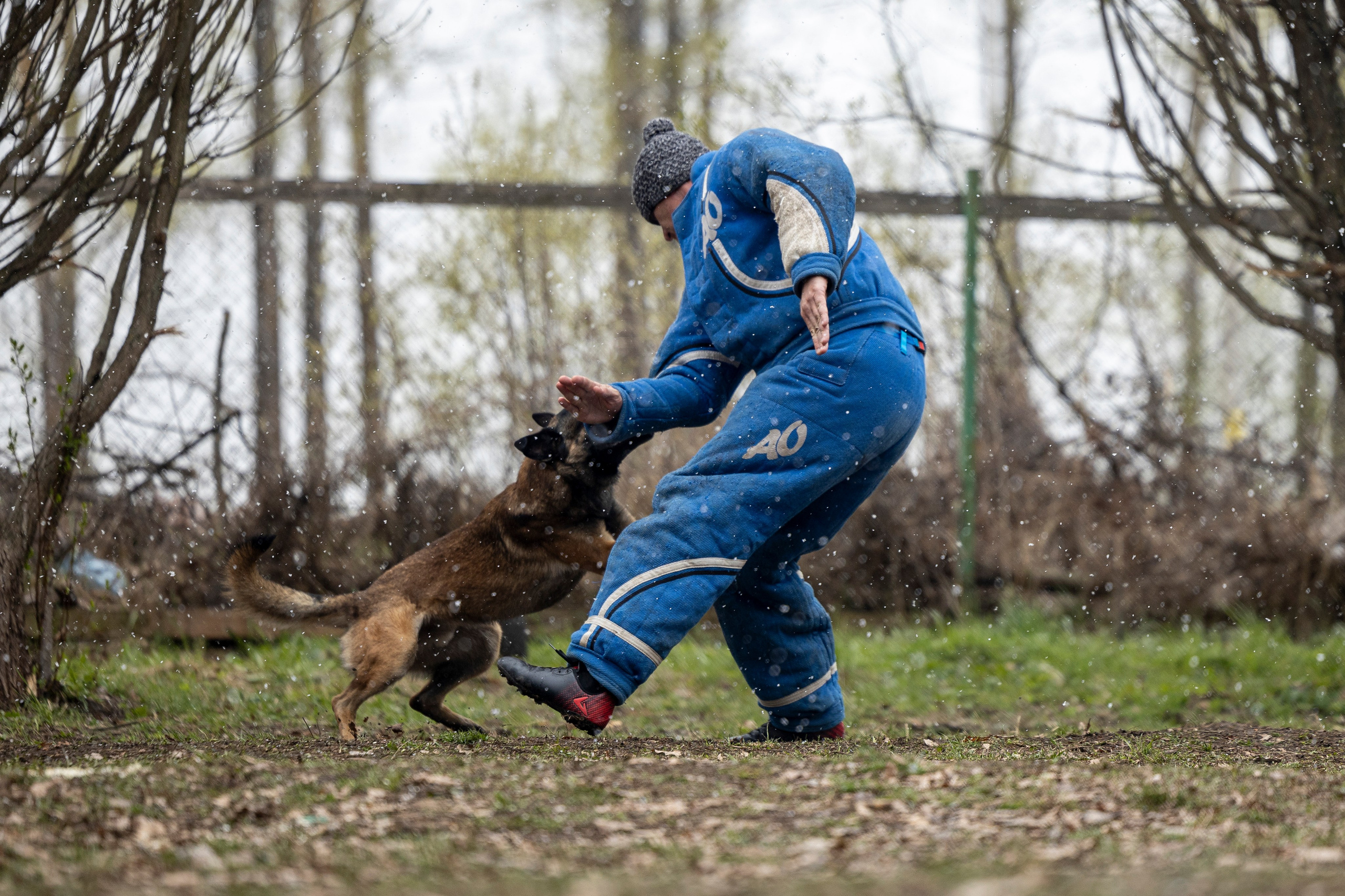 Квалификационные состязания по мондьорингу г. Вологда 11.05.24. Фотограф-анималист Анна Маринич