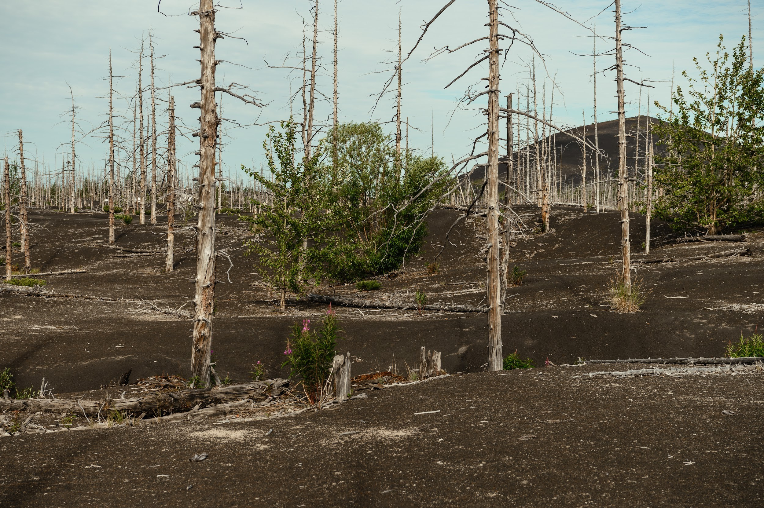 Камчатка 08.2024. Фотограф Марина Росси