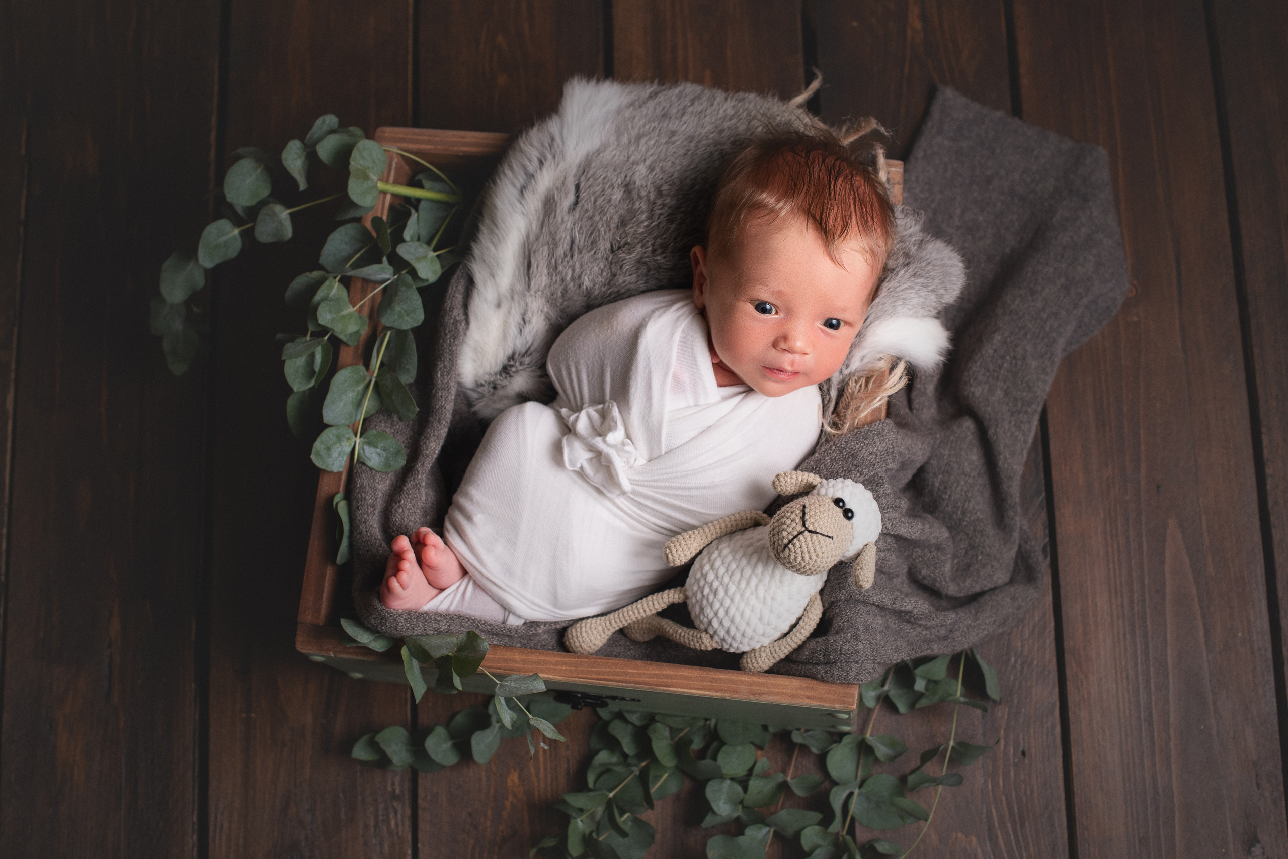 Новорожденные. Фотограф Новорожденных во Владивостоке Ольга Галаницкая