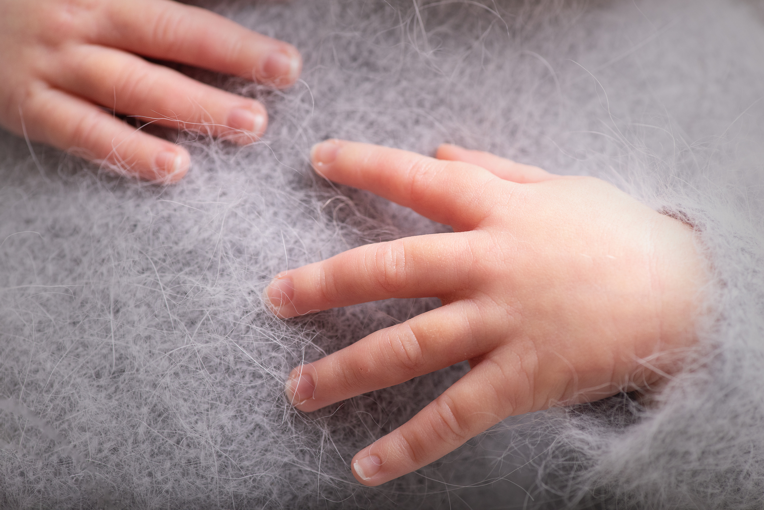 Макро. Фотограф Новорожденных во Владивостоке Ольга Галаницкая