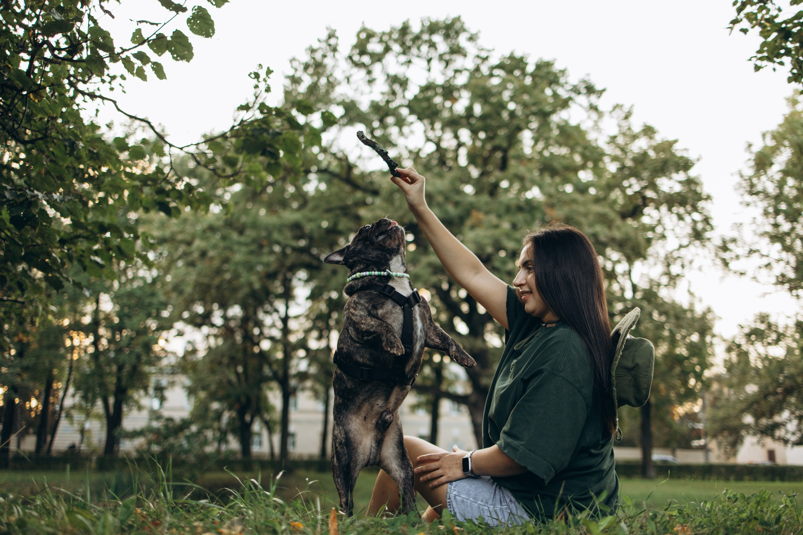 Олеся и Луи. Фотограф — Анималист | Санкт-Петербург
