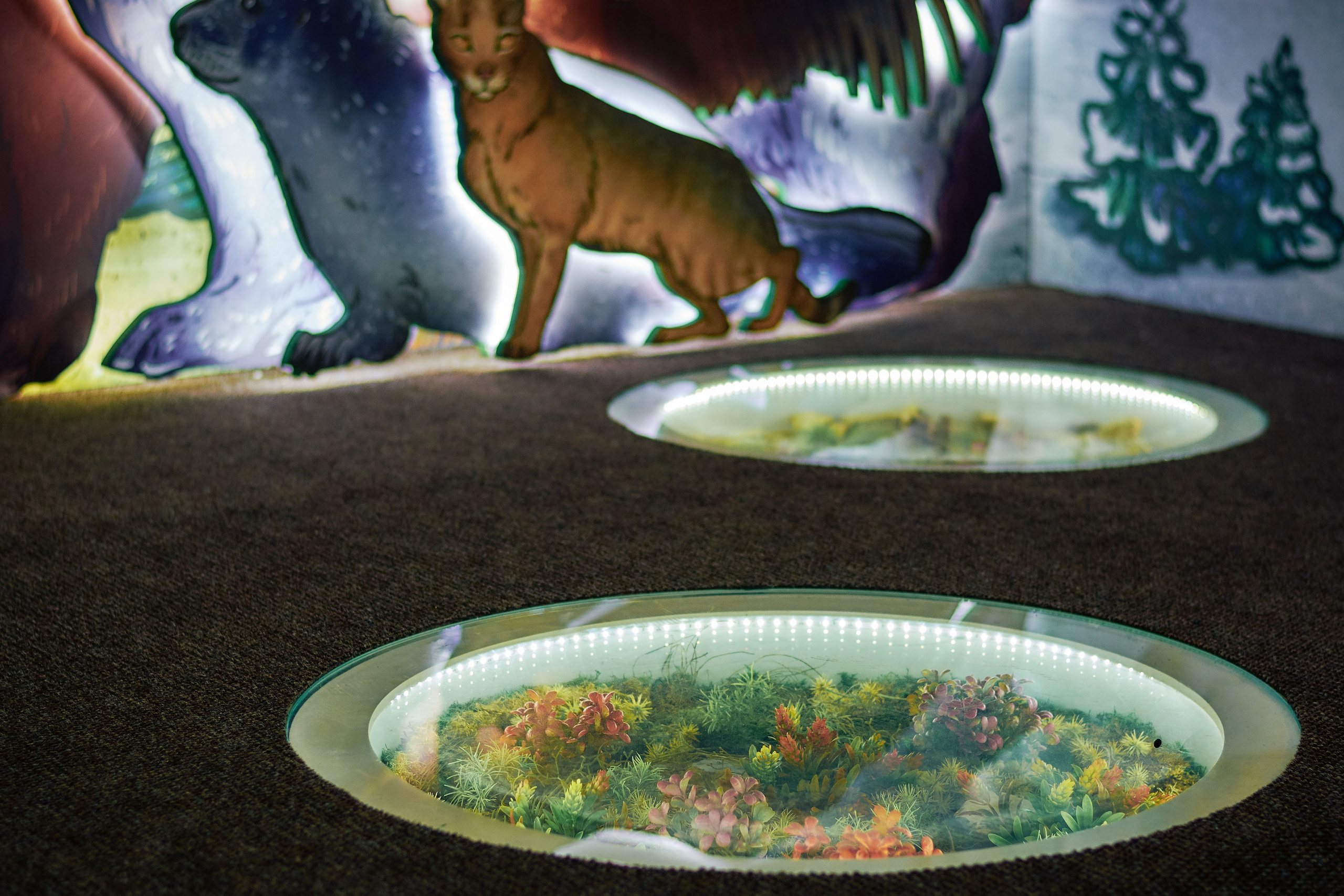 Интерьерная съемка Визит-центр Национальный парк «Кисловодский». Константин Кордонский | Интерьерный и food-фотограф в Кисловодске и КМВ