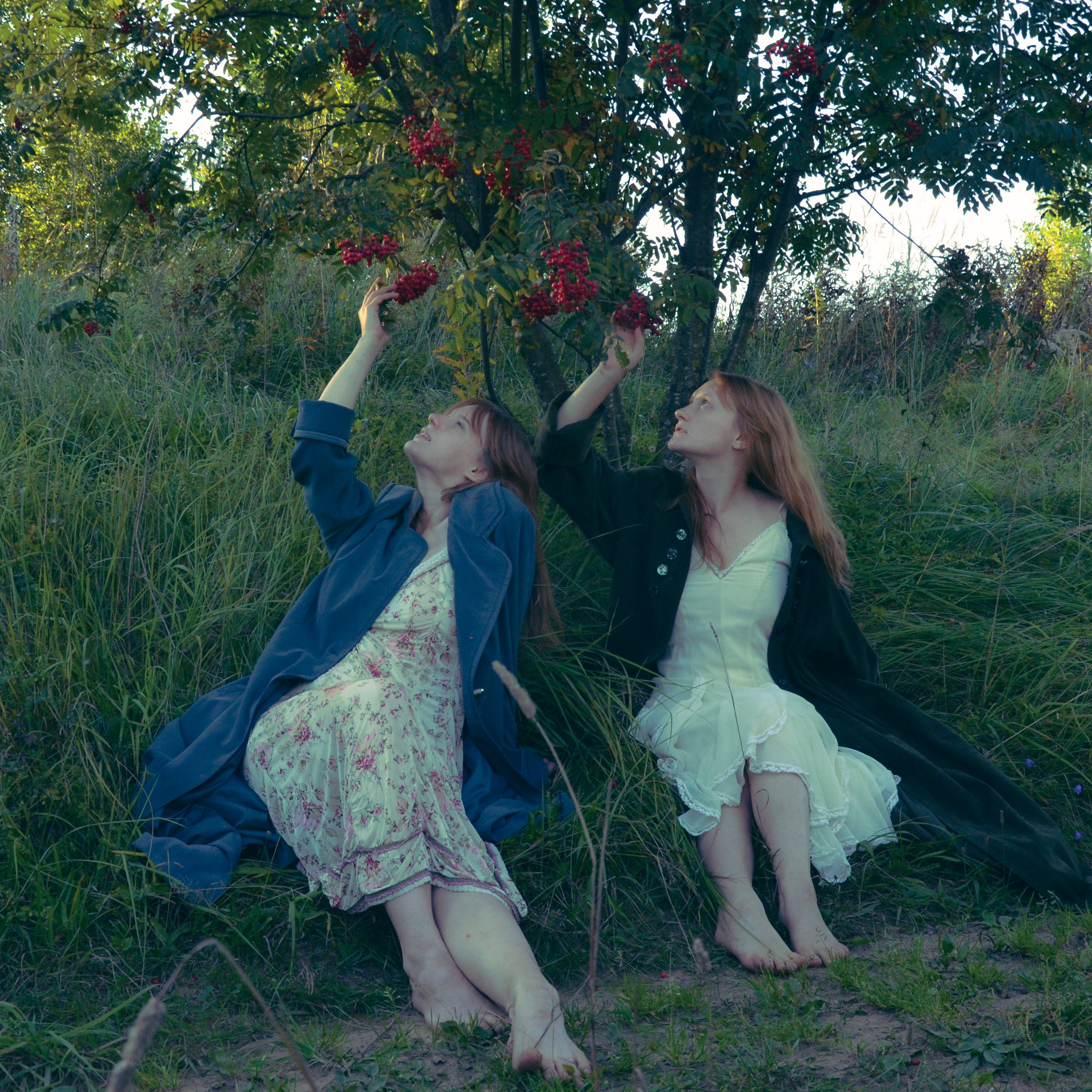 Лесное. Фотограф СПб | Лесная фотосессия