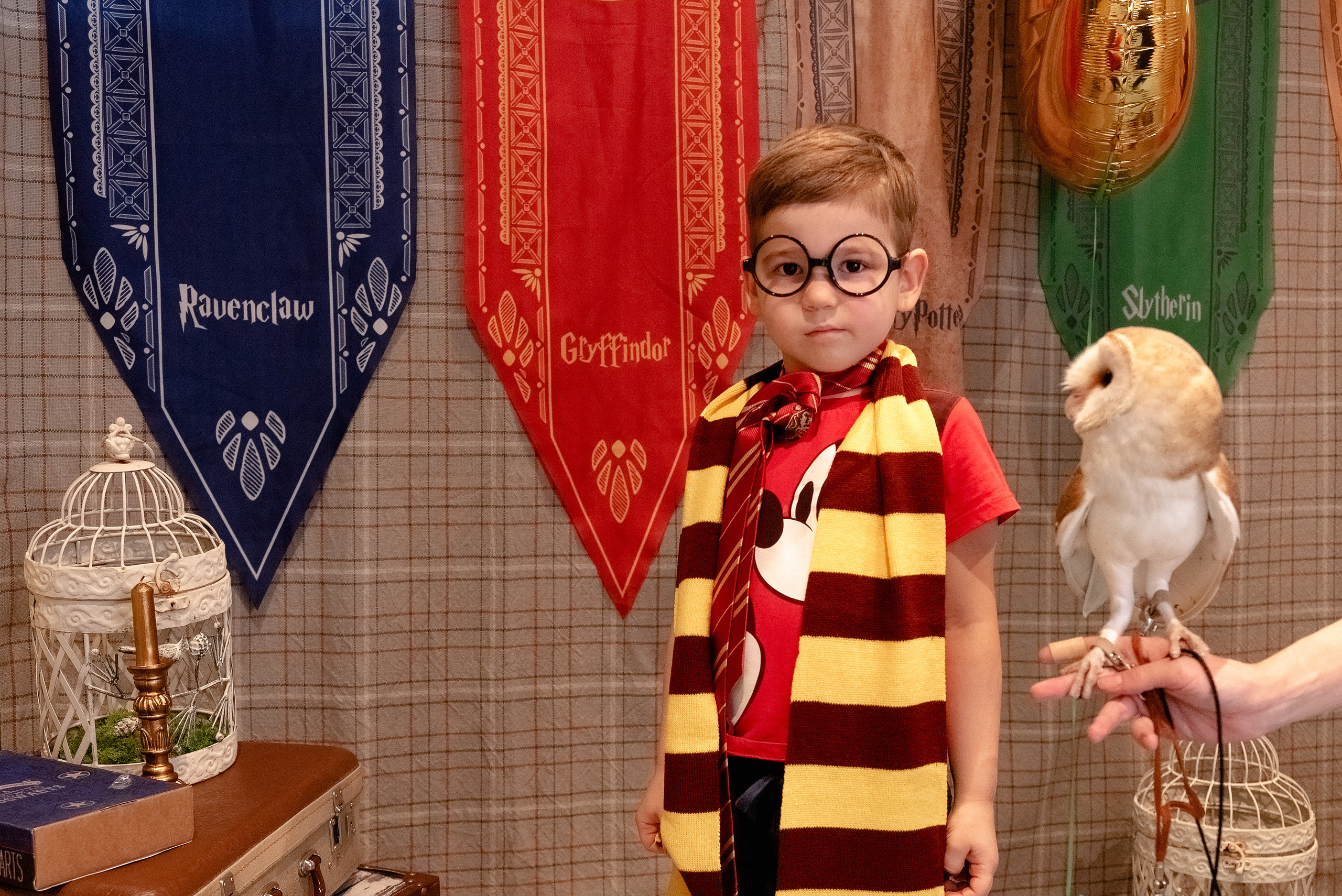 Тематическое ДР в Kids Rock Cafe