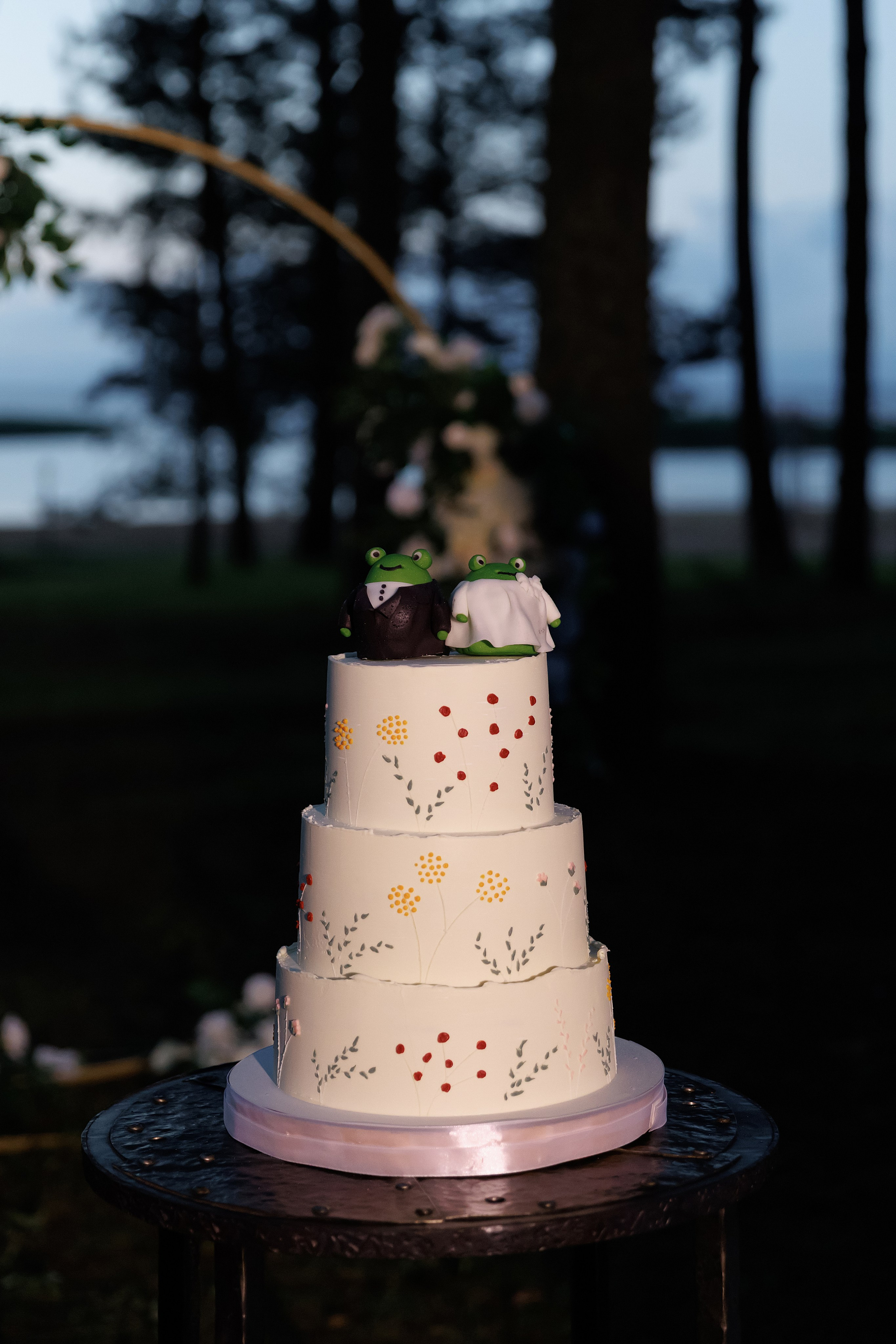Наталья и Евгений. Свадебный фотограф в Пскове и Санкт-Петербурге | Анна Голикова