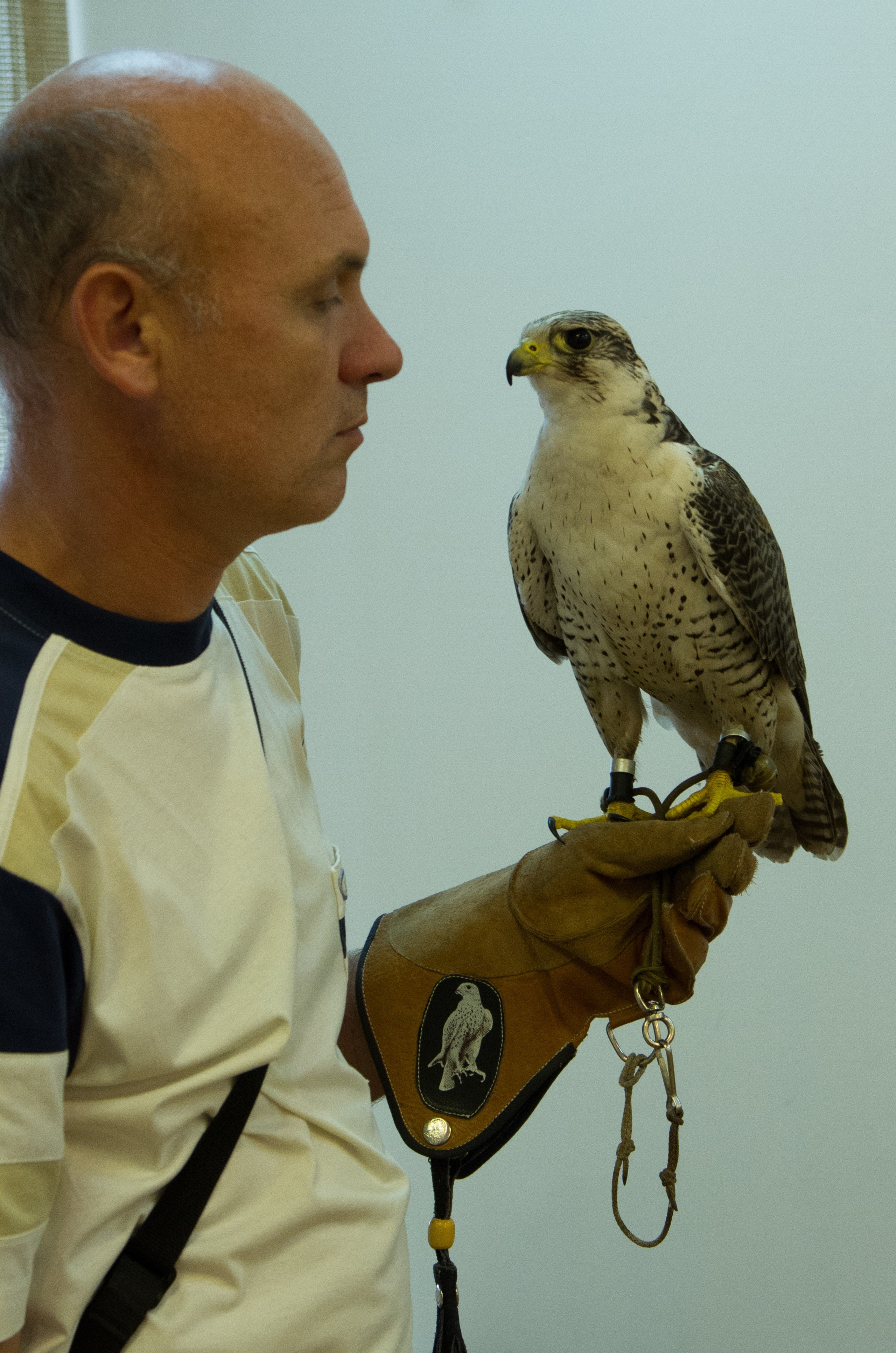 01.10.2015 Фотовыставка «24 вселенные». Фотообъединение Самарского областного отделения Союза журналистов России