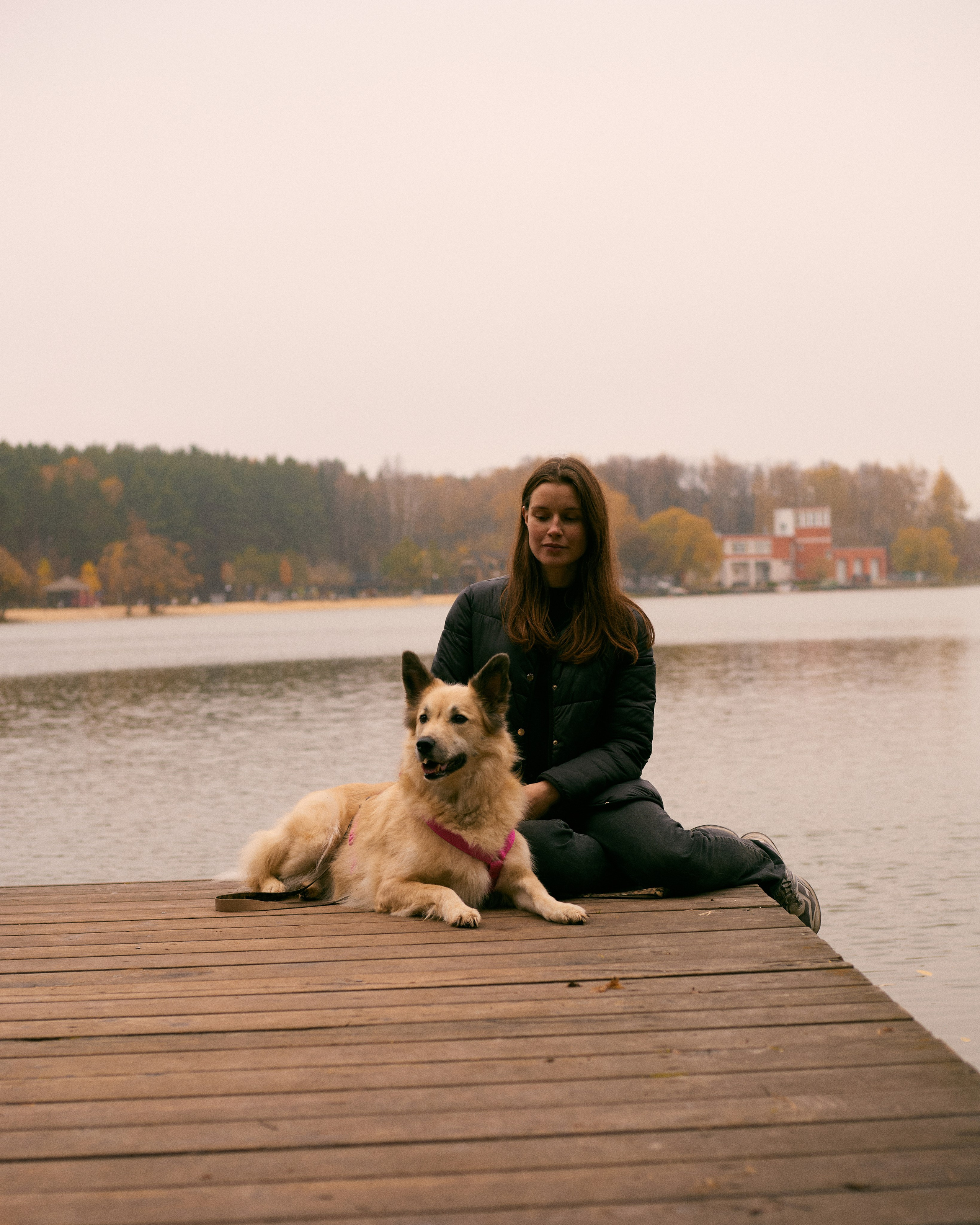 С животными. Главная