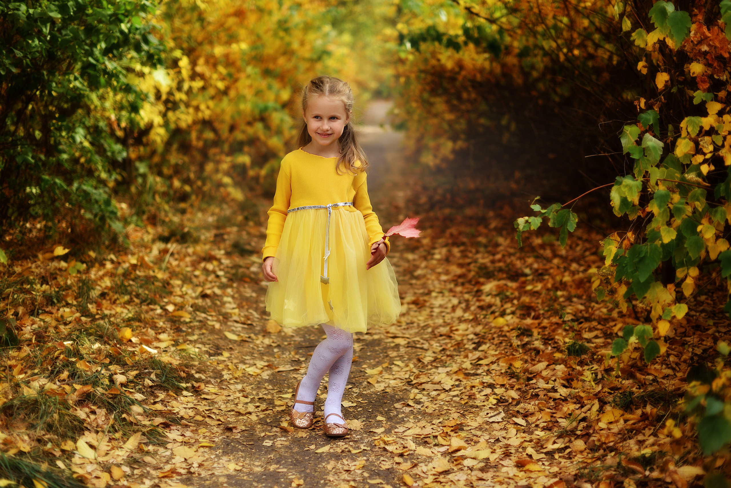Семейные фотосессии. Свадебный и семейный фотограф в Липецке Натали Бриз