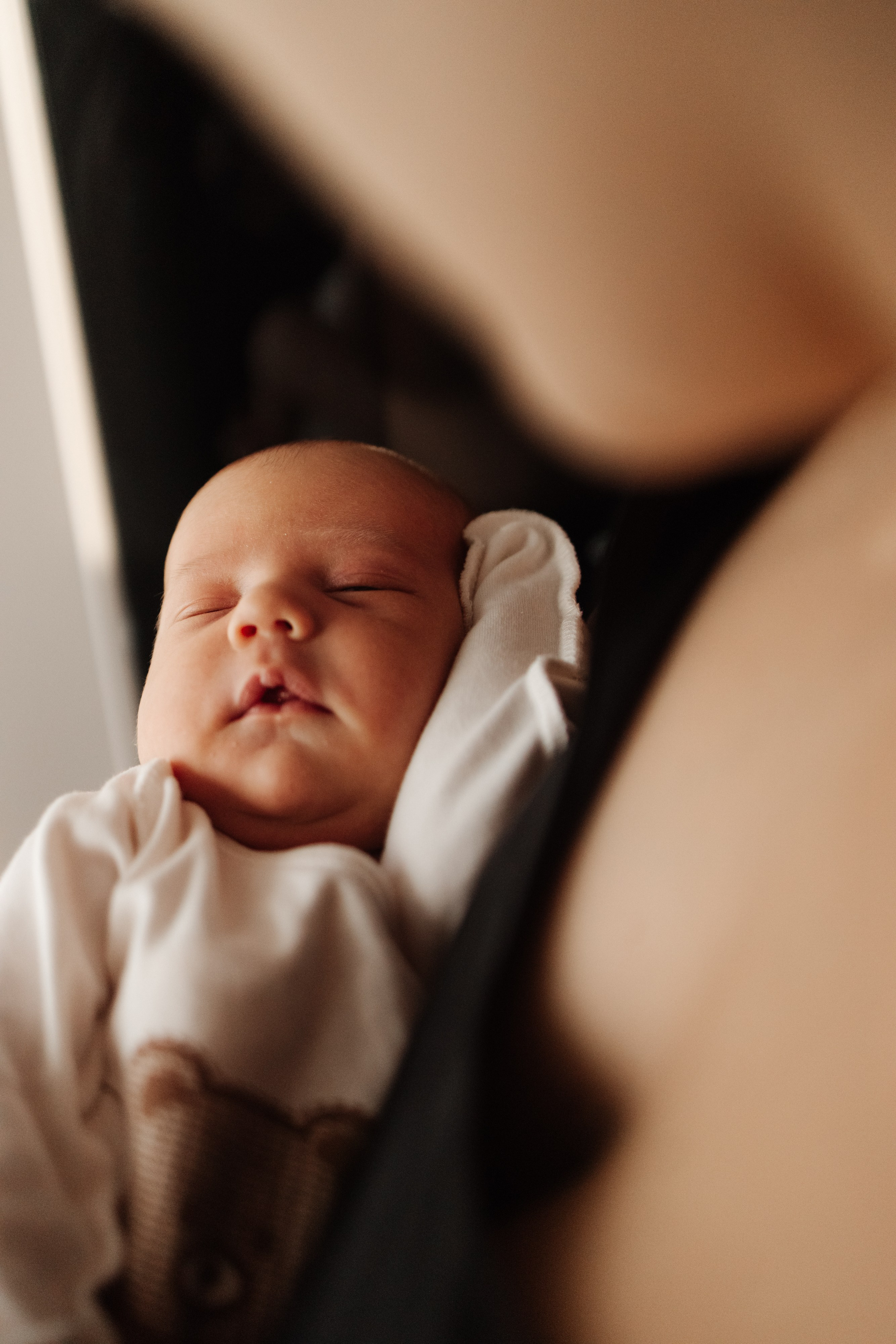 Гордей. Фотограф Новосибирск