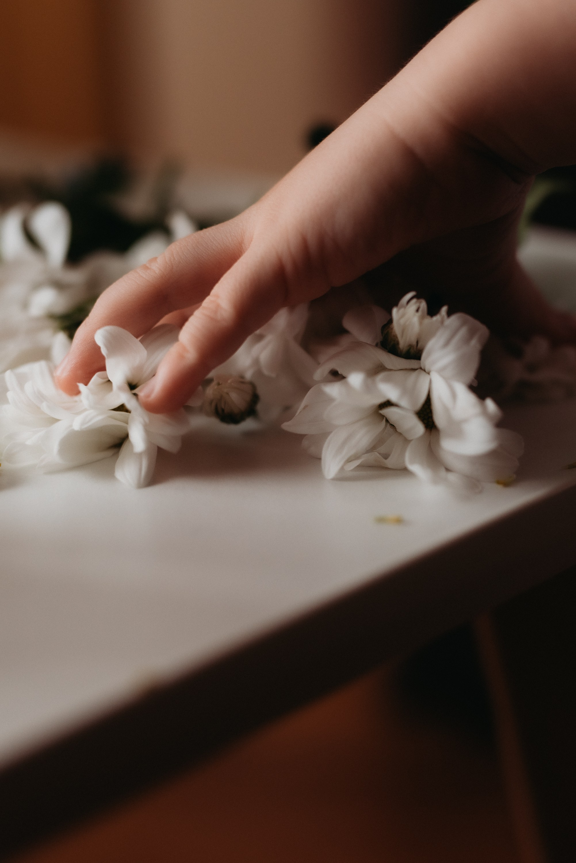 Вика и Саша. Семейный и детский фотограф в Новосибирске и Краснообске — Анна Ким
