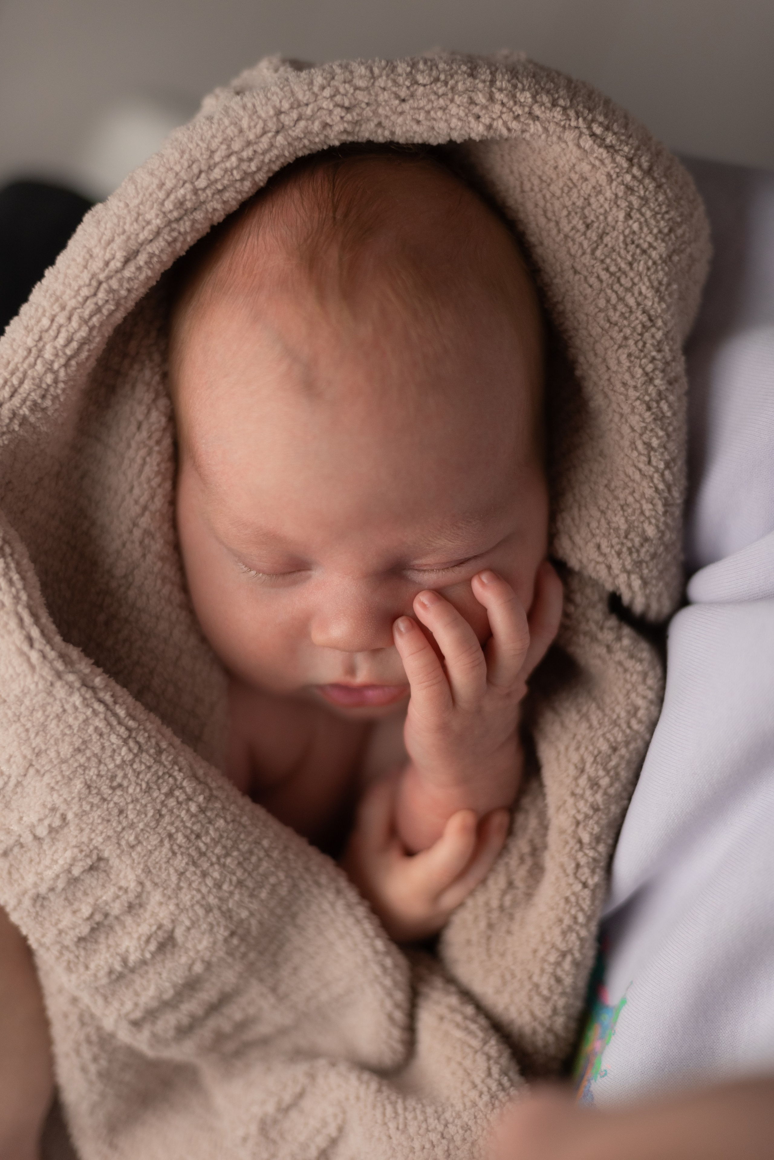 ✨. Профессиональный фотограф новорожденных Тверь