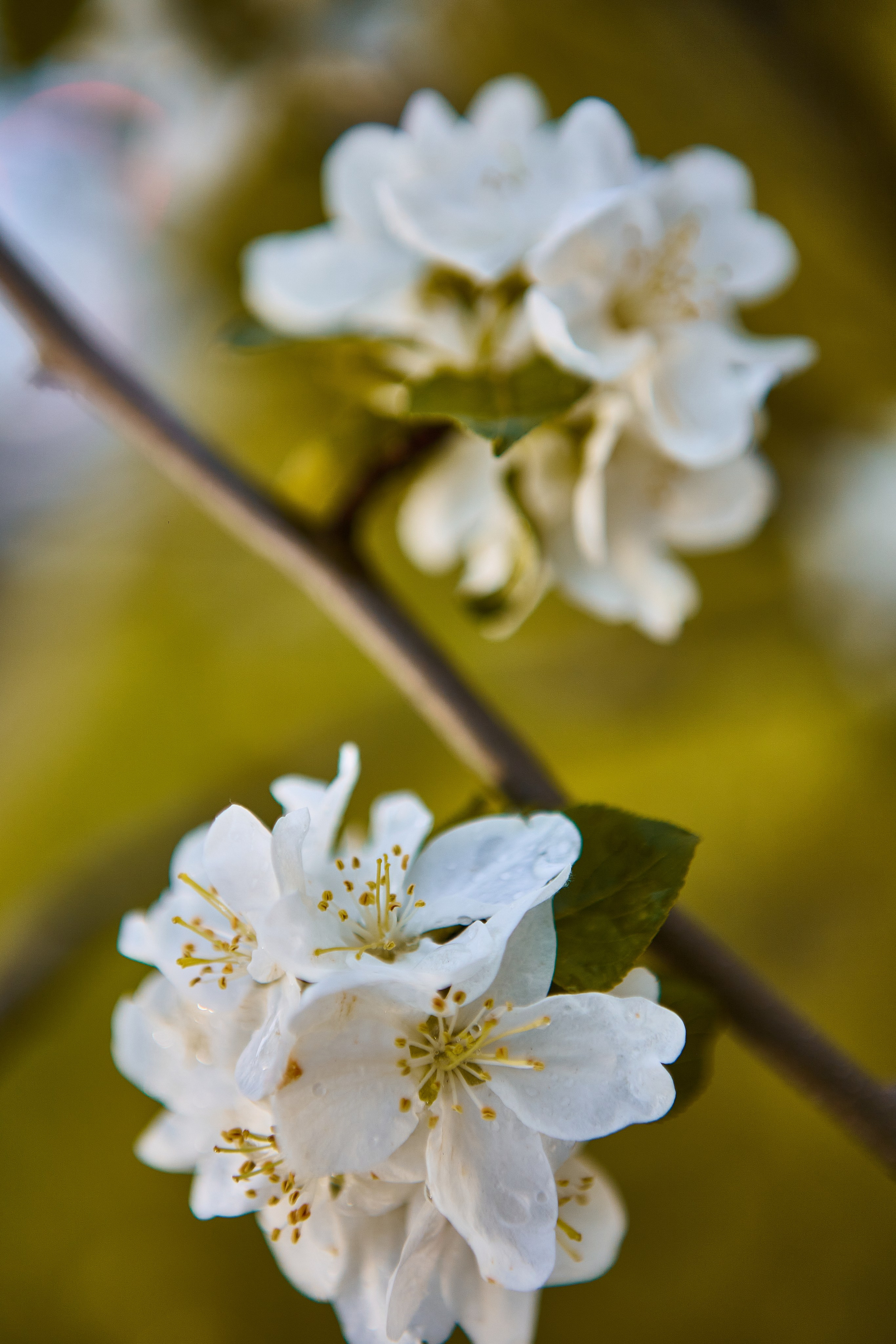 Фотографии природы