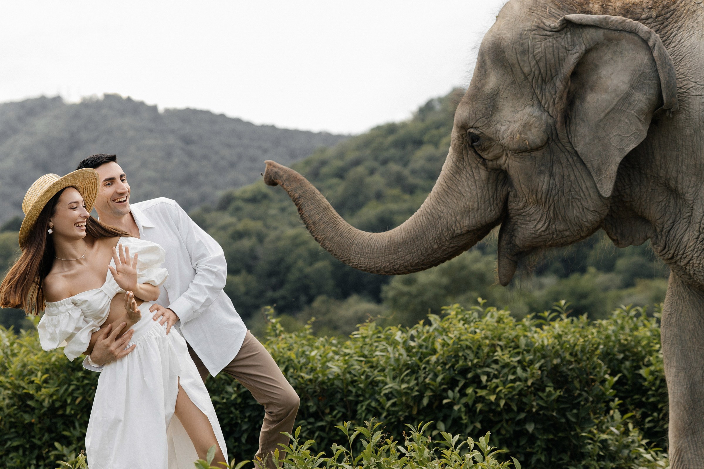Он, она и слоны. Свадебный фотограф в Ростове-на-Дону