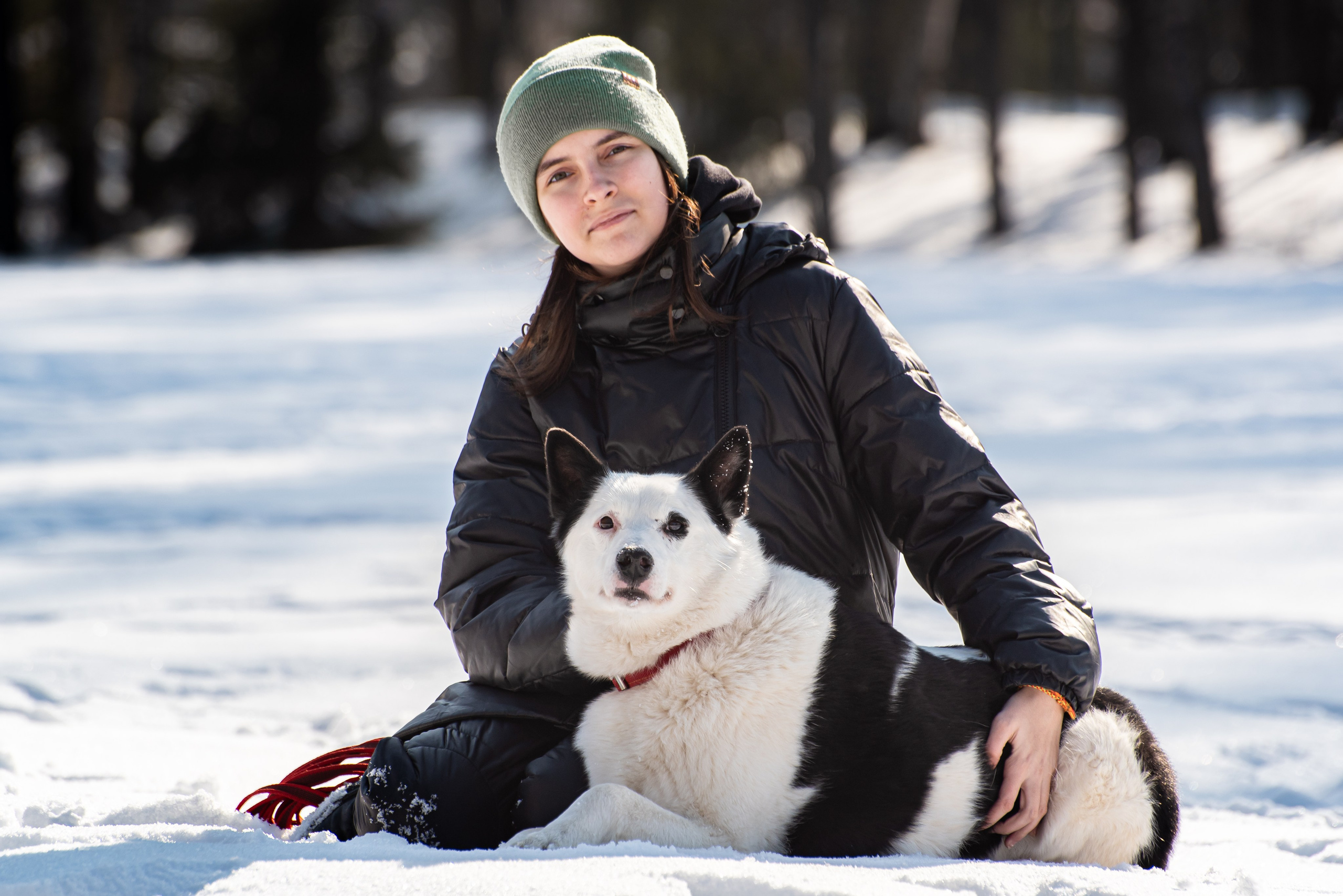Фотосъёмка с собаками в Кинологическом лагере. Фотограф Макс Огурцов в Нижнем Новгороде