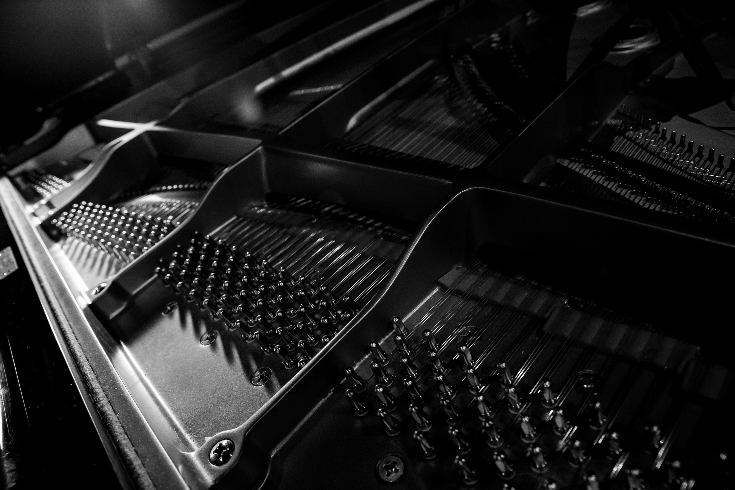 Piano Day 2023. Фотограф Москва Никита Рябиков