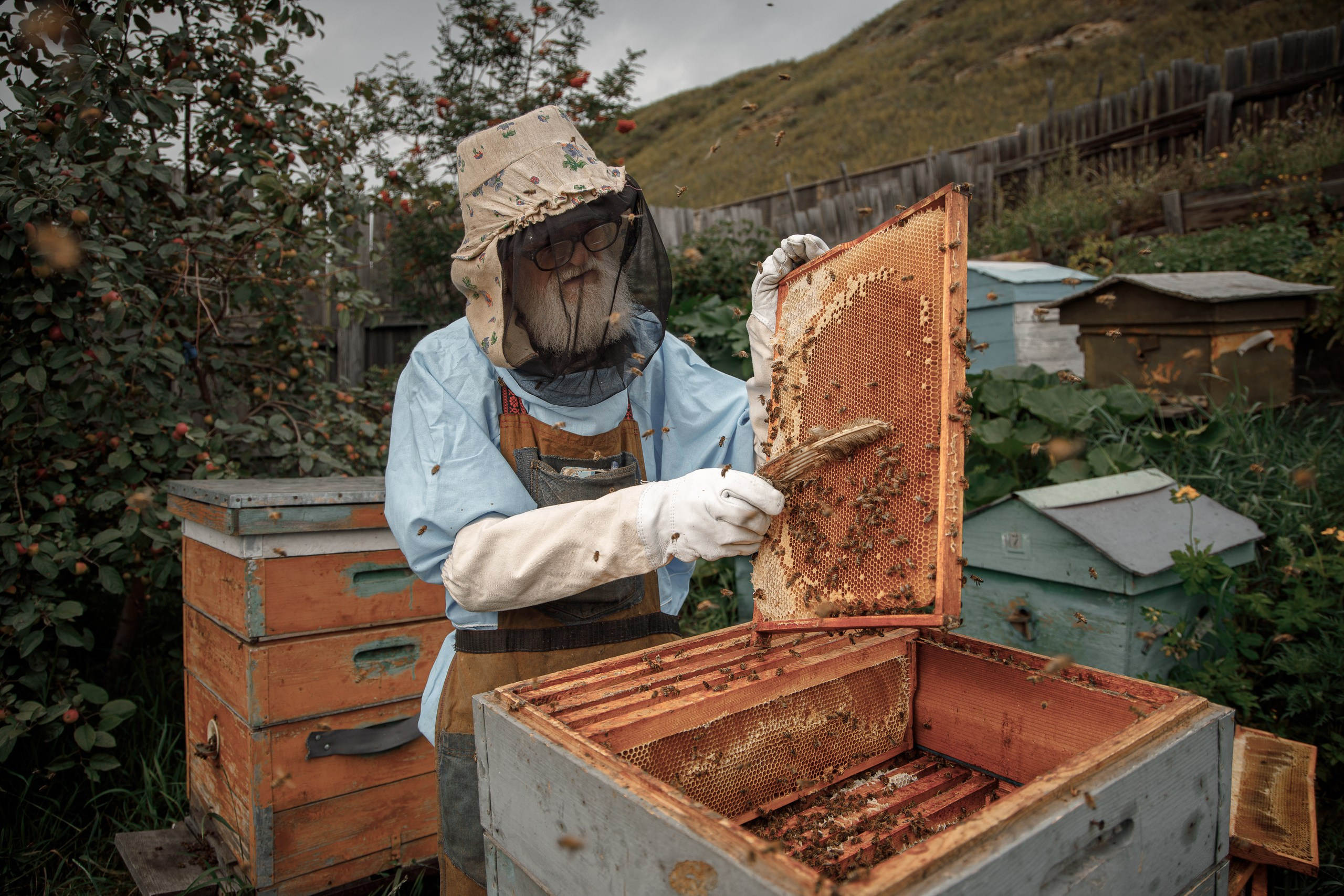 Верность делу. Фотограф в Красноярске Нерозя Александр. Пейзаж, природа, портрет