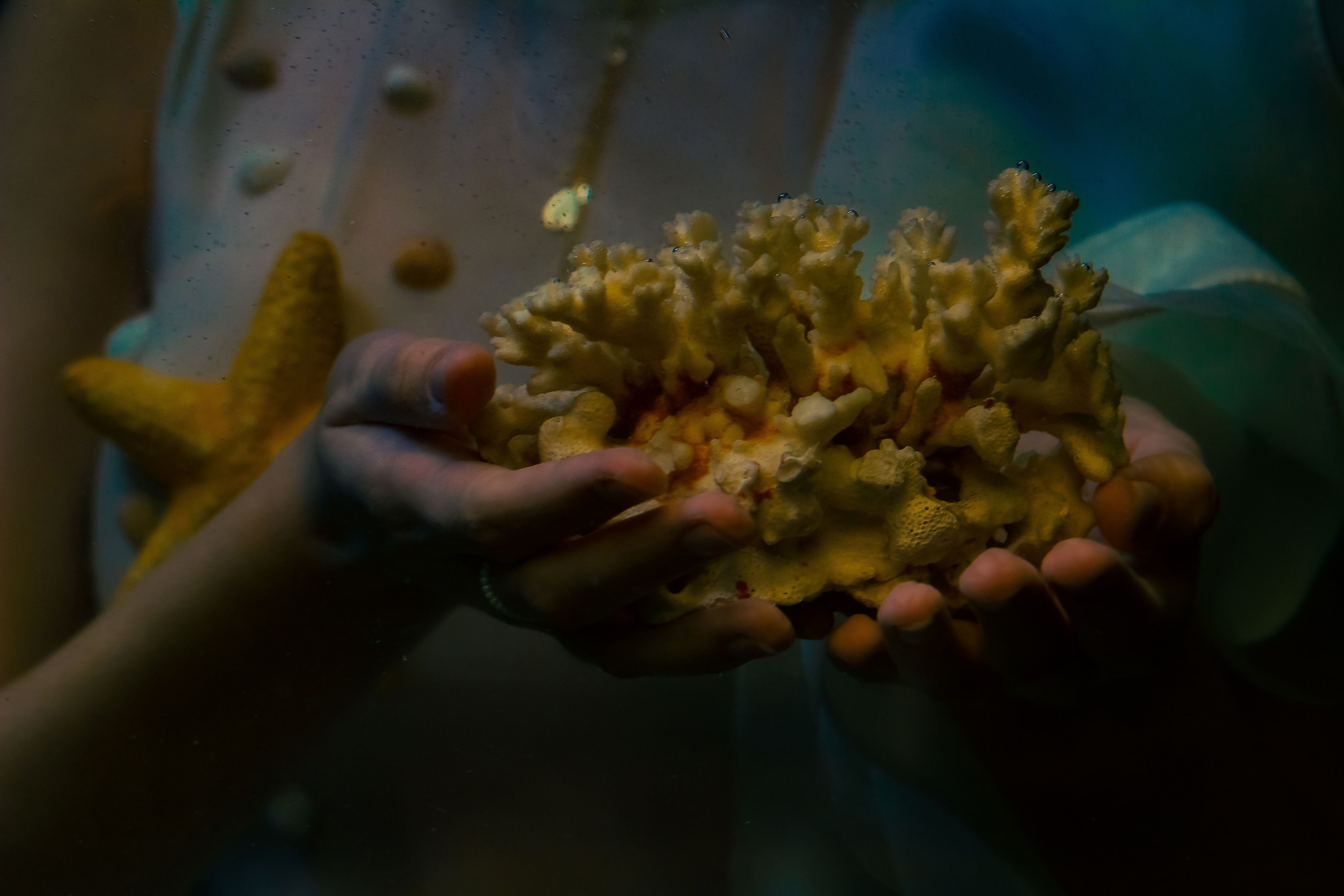 Фотопроект «Русалка» (Липецк). Делла Т. — Женский и семейный фотограф в Липецке