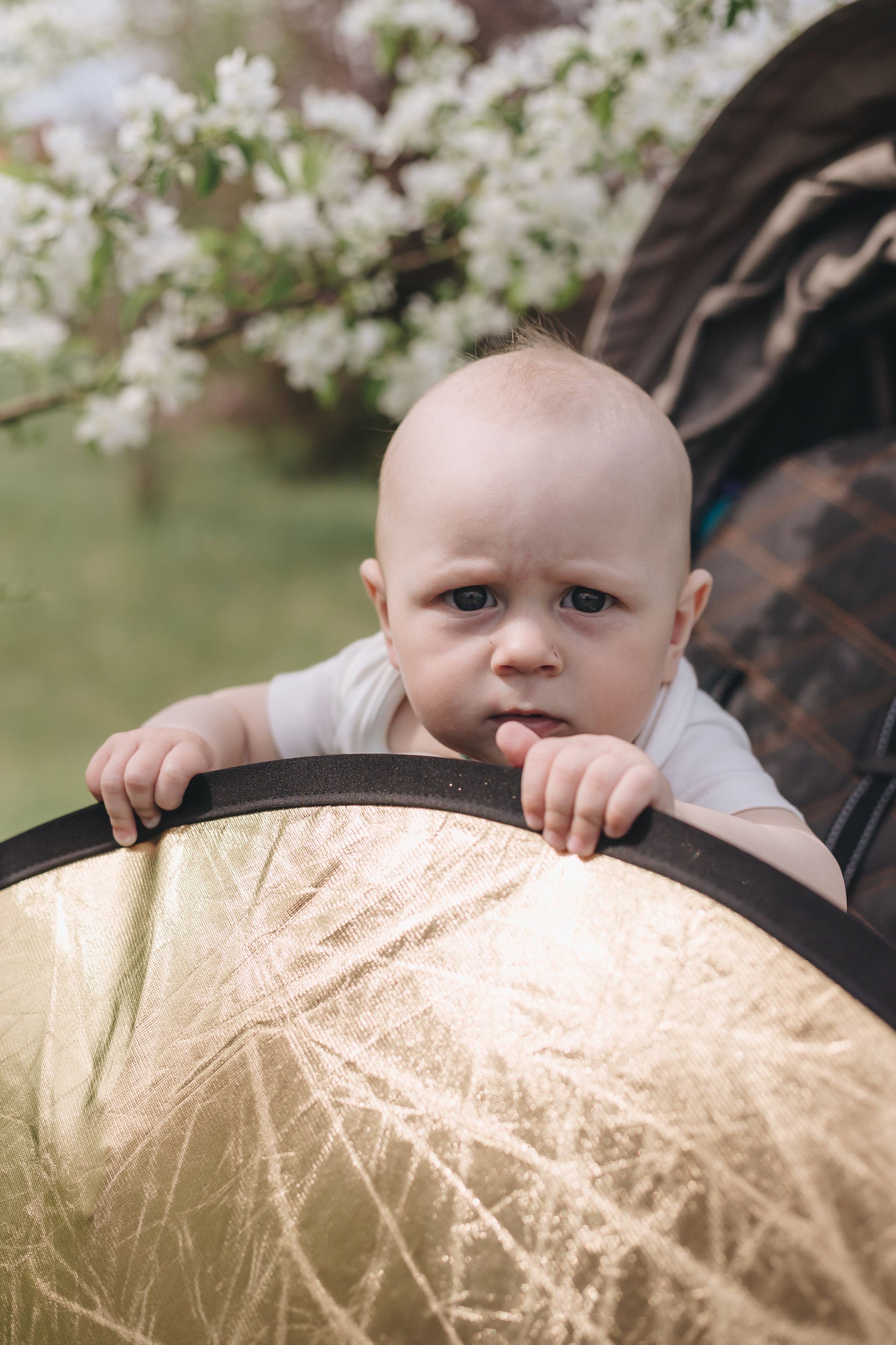 Фотограф Клусова Татьяна (Тольятти). Клусова Татьяна фотограф Тольятти