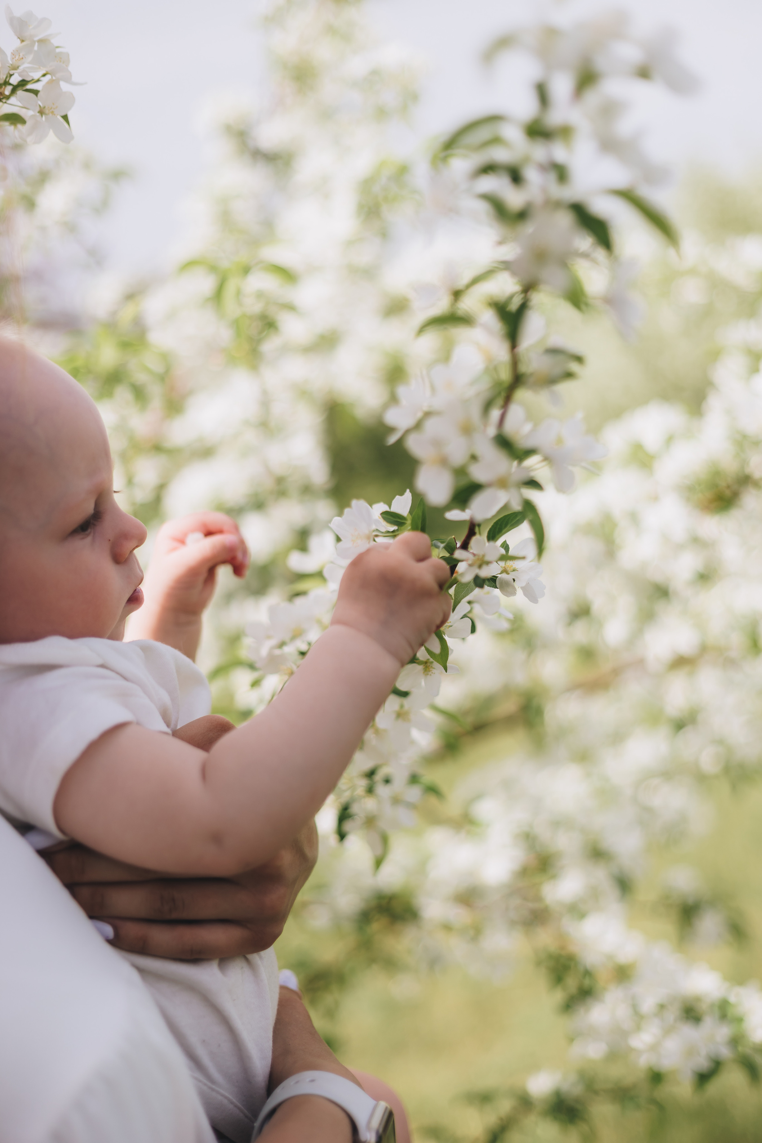 Фотограф Клусова Татьяна (Тольятти). Клусова Татьяна фотограф Тольятти