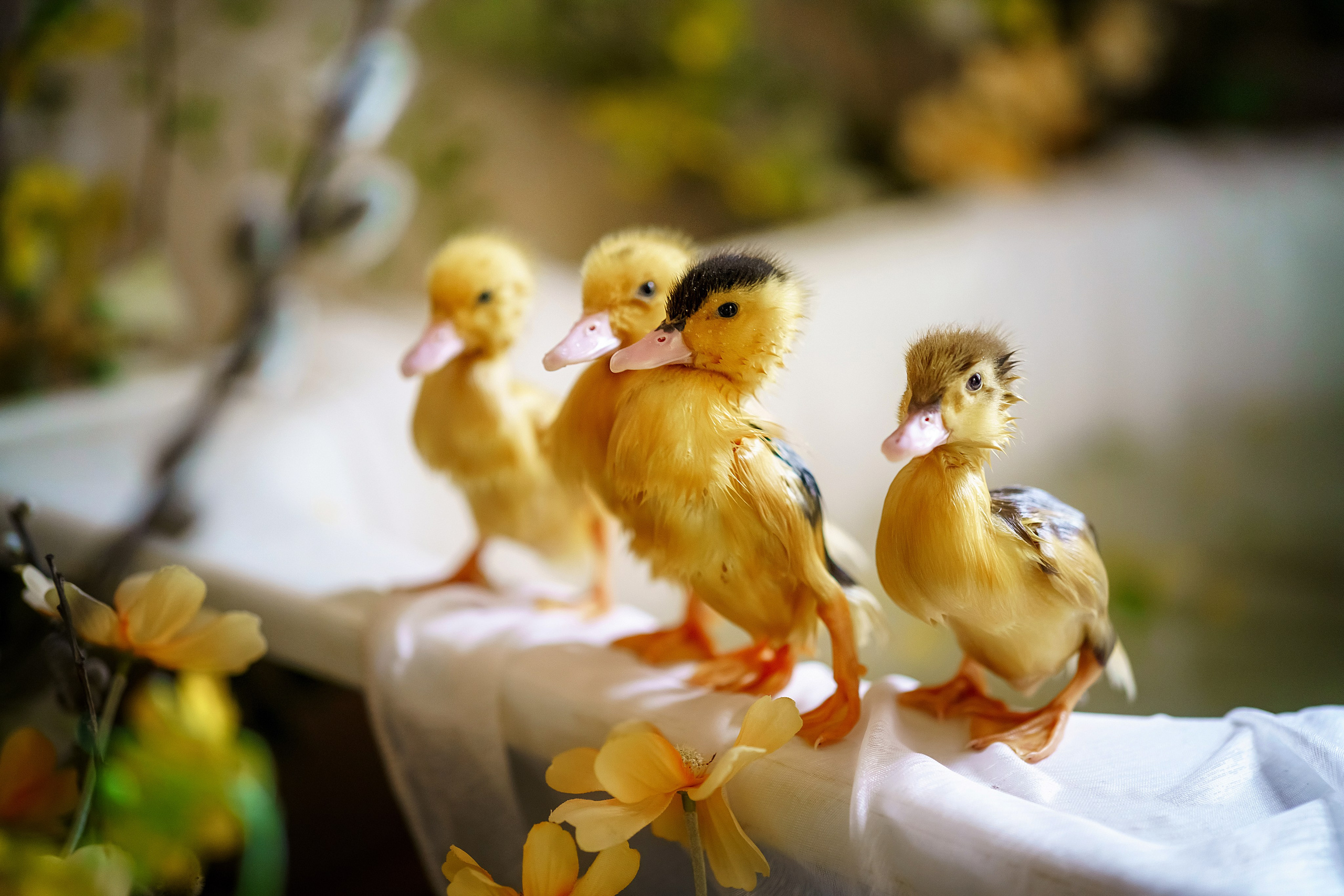 . Фотограф в Москве и Одинцово