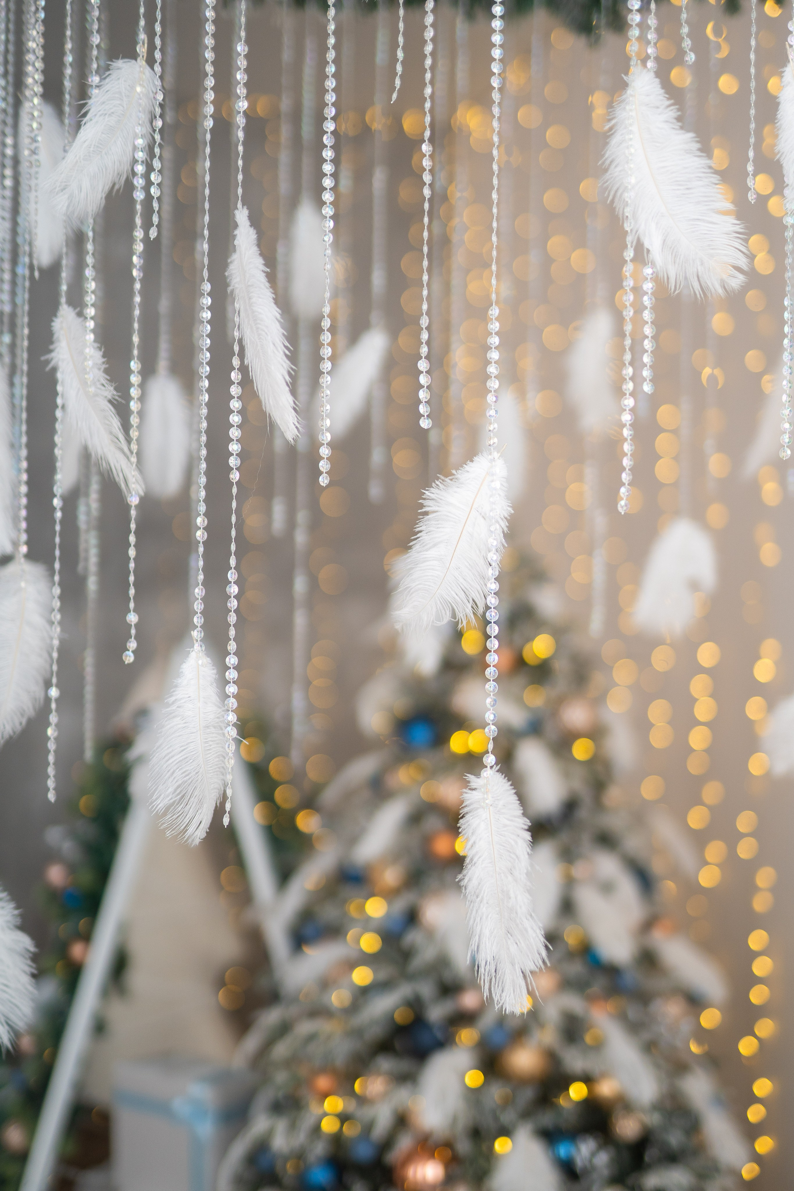 Зал Белый. Фотограф г. Хабаровск. Семейные и индивидуальные съёмки