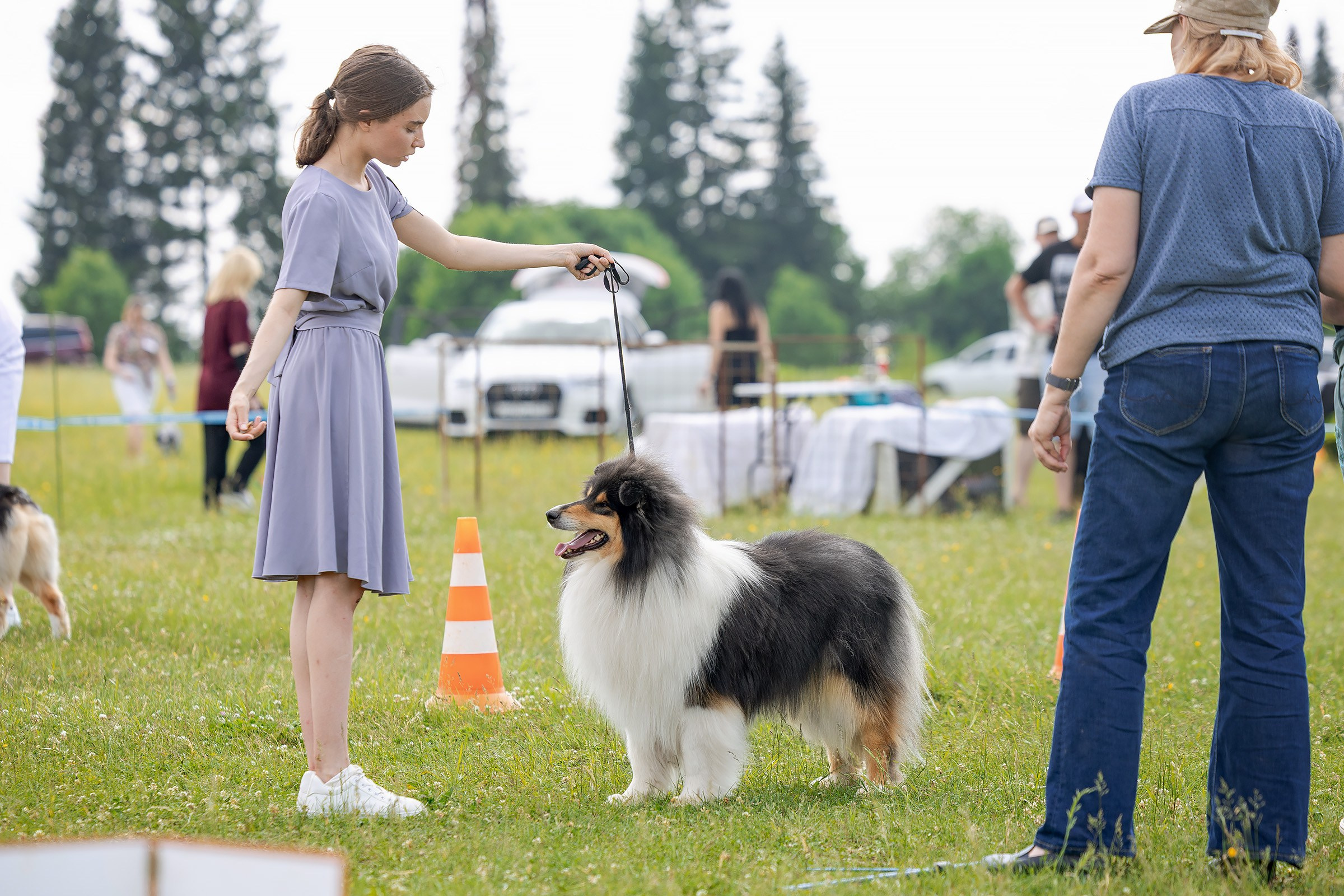 12 июня 2025, Выставка РКФ, Пермский край. Htykk_photo