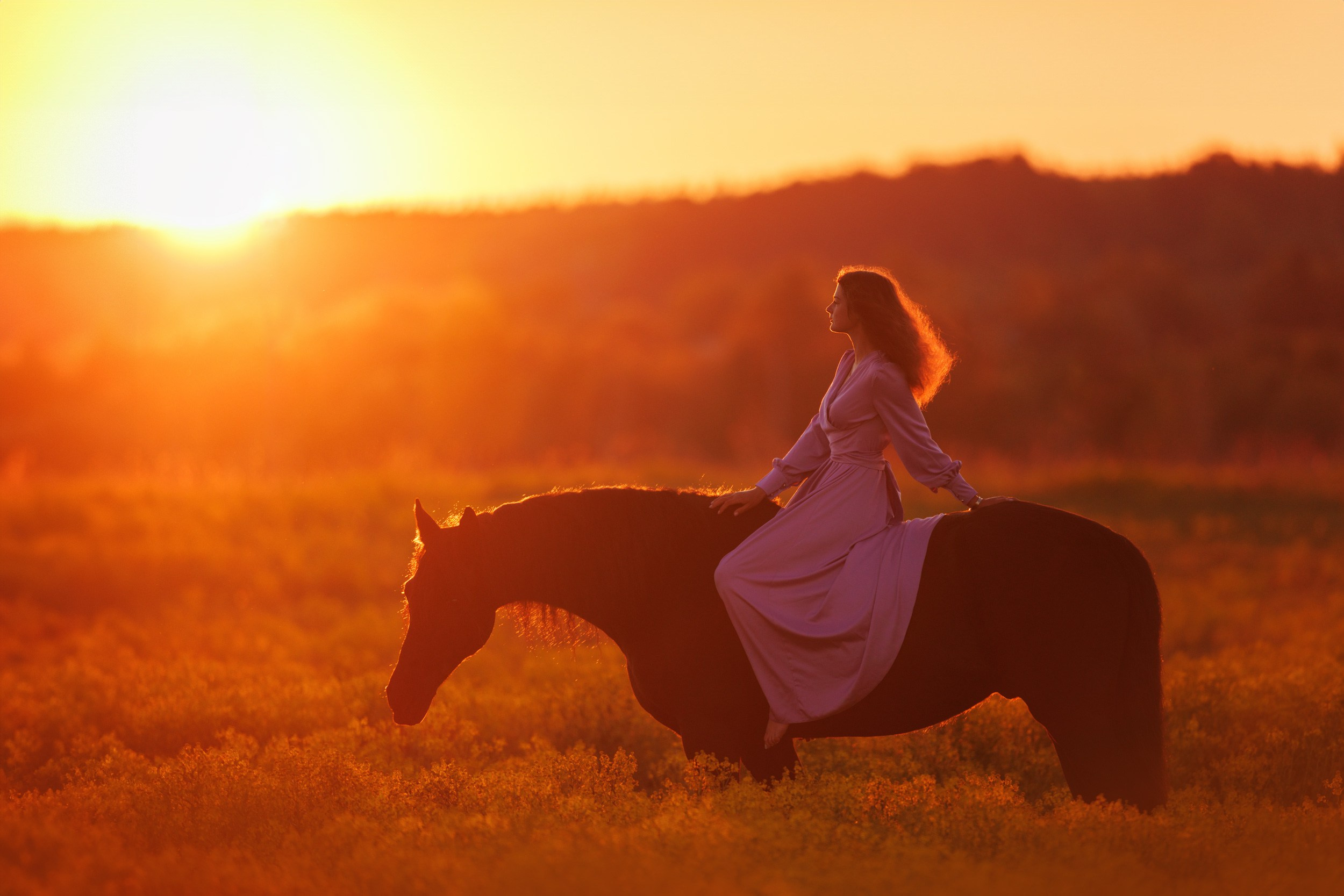 Лошади. Фотограф Анастасия Ветковская, Москва