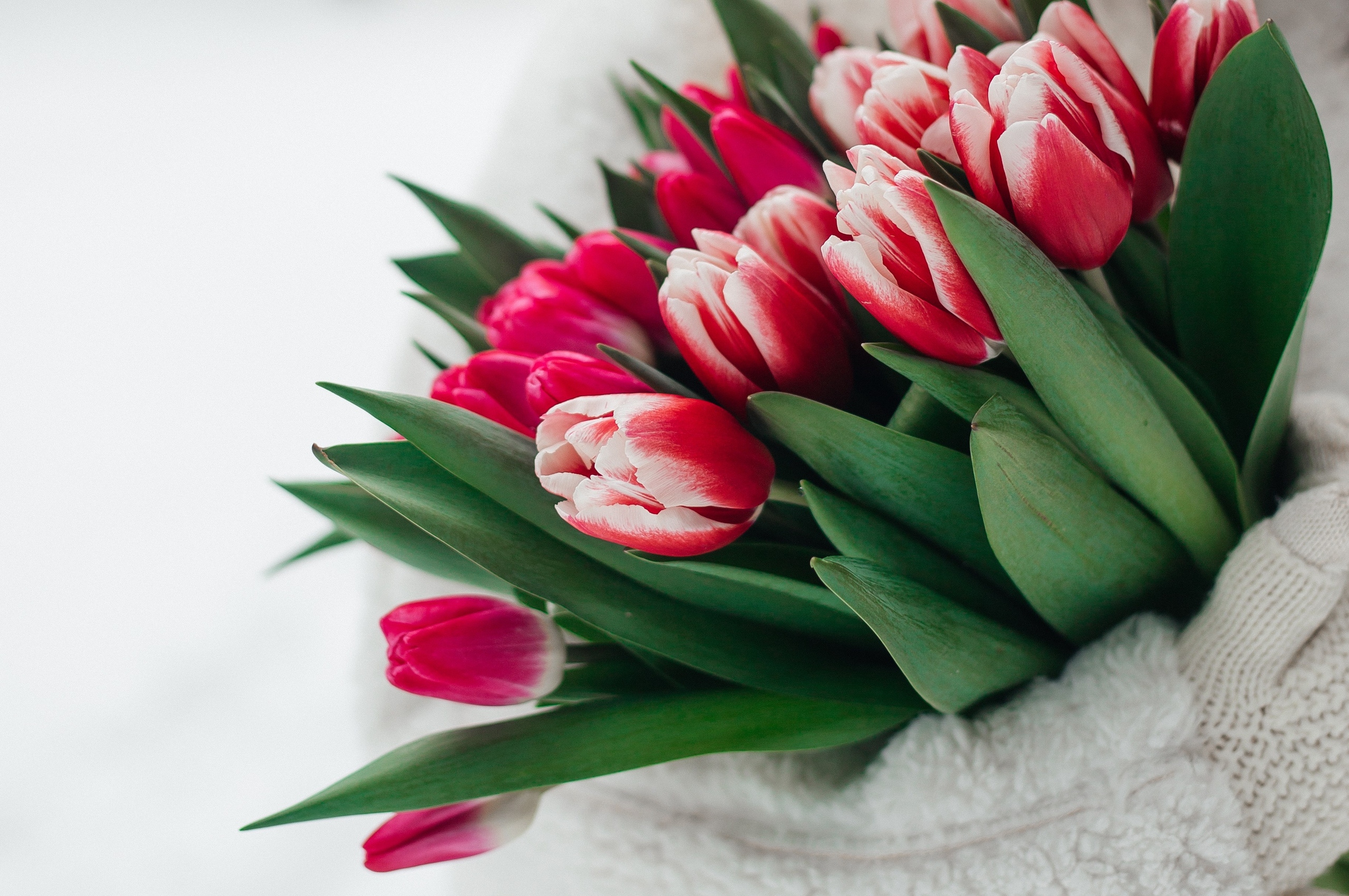 Снежная фотосессия в лесу с тюльпанами зимой. Фотограф Дмитров и МО Валентина Халикова