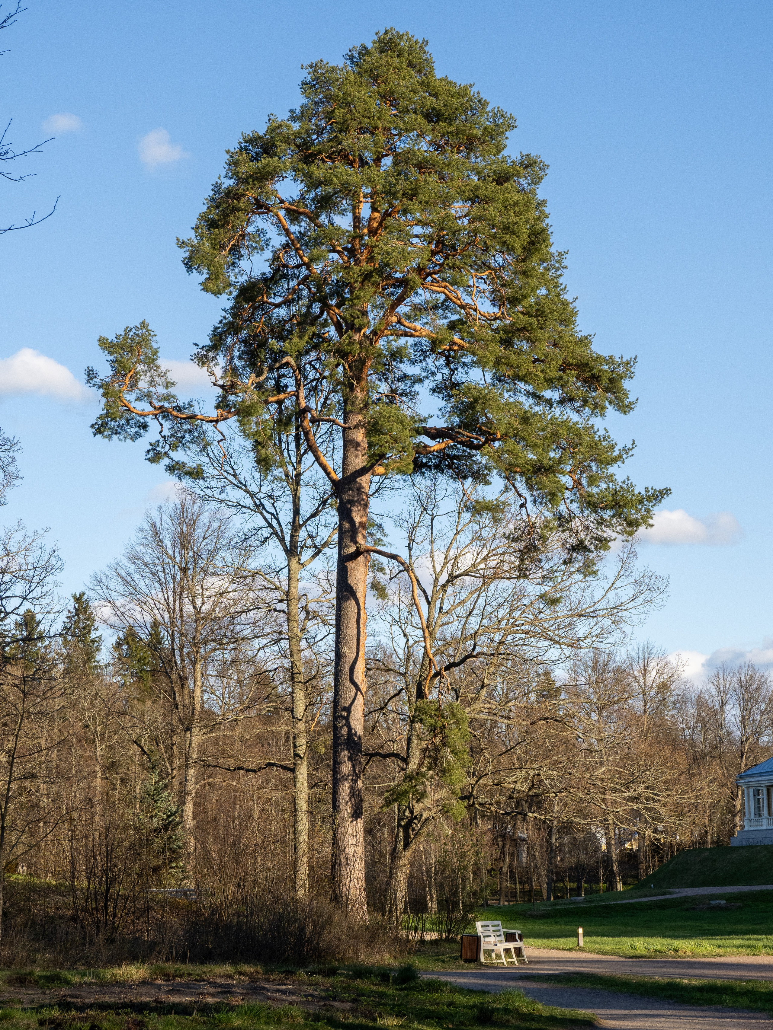 Кронштадт-Сортавала-Валаам-Выборг. Творческие сьемки