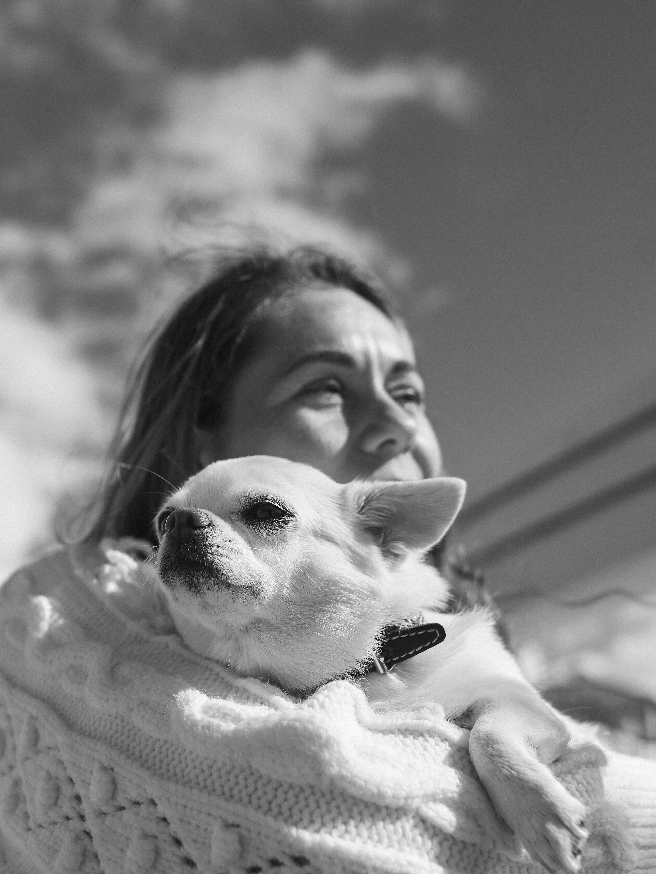 Зефир и Алена. Фотограф-анималист в Москве Кириллова Татьяна