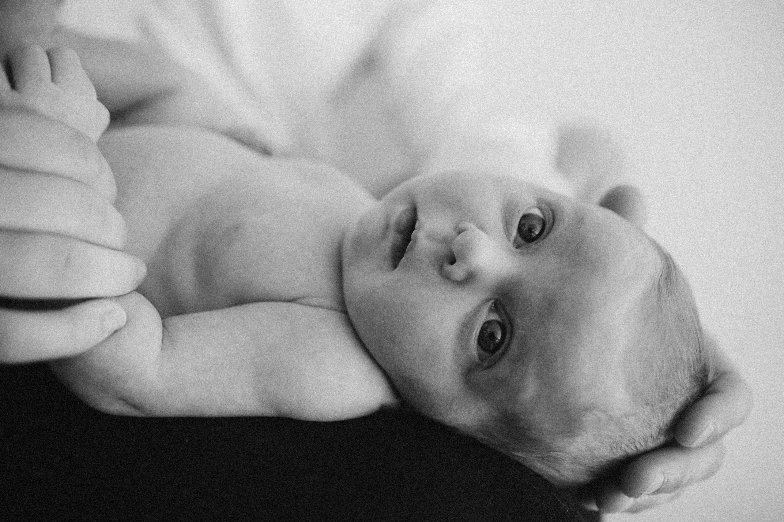 Séance newborn Sasha. Photographe des familles et enfants à Nantes et alentours