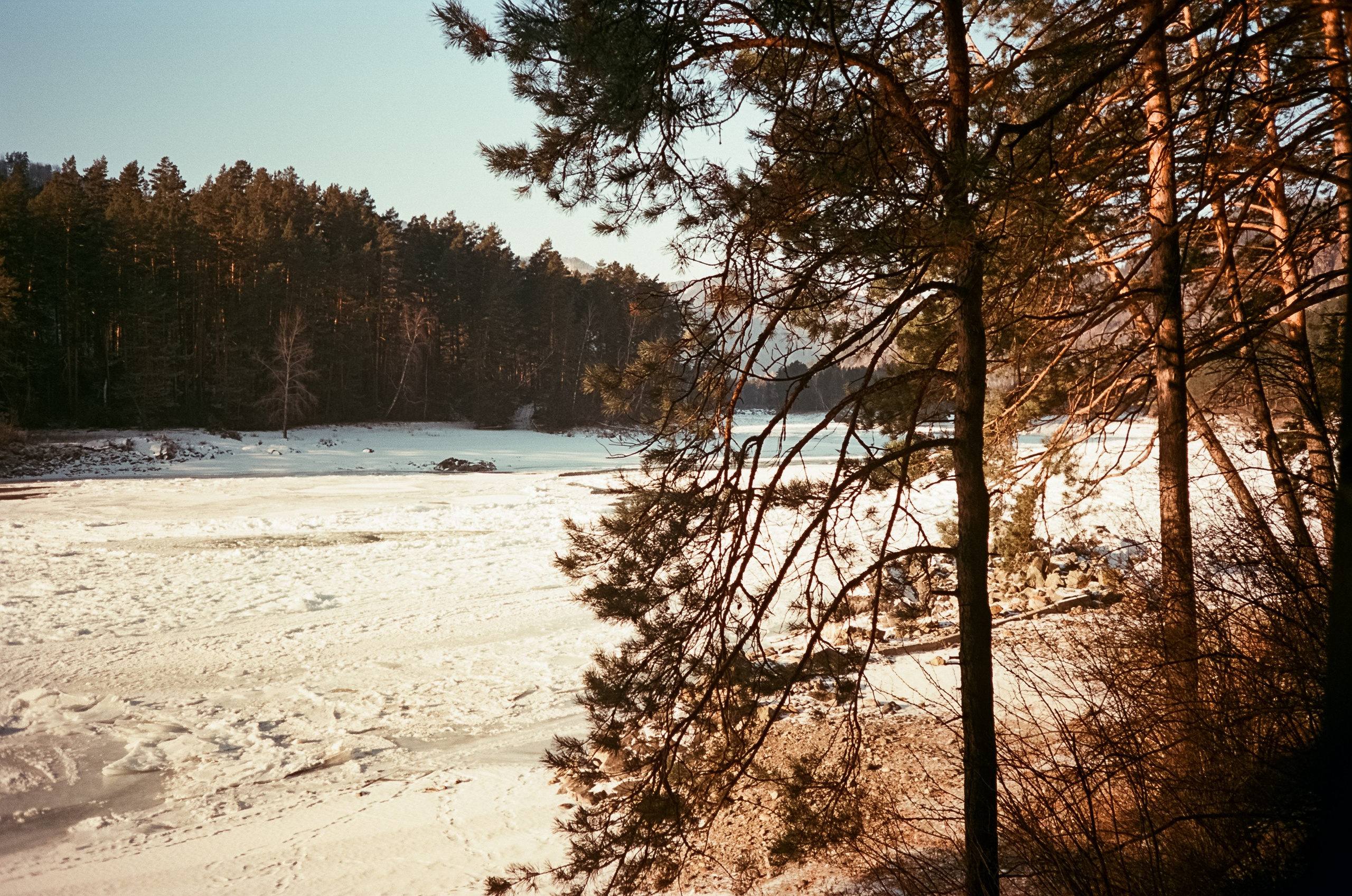 Кызыл-Таш и Семинская поляна. Катунь, пляж, мостки и сосны. Фотограф-документалист Мария Осокина